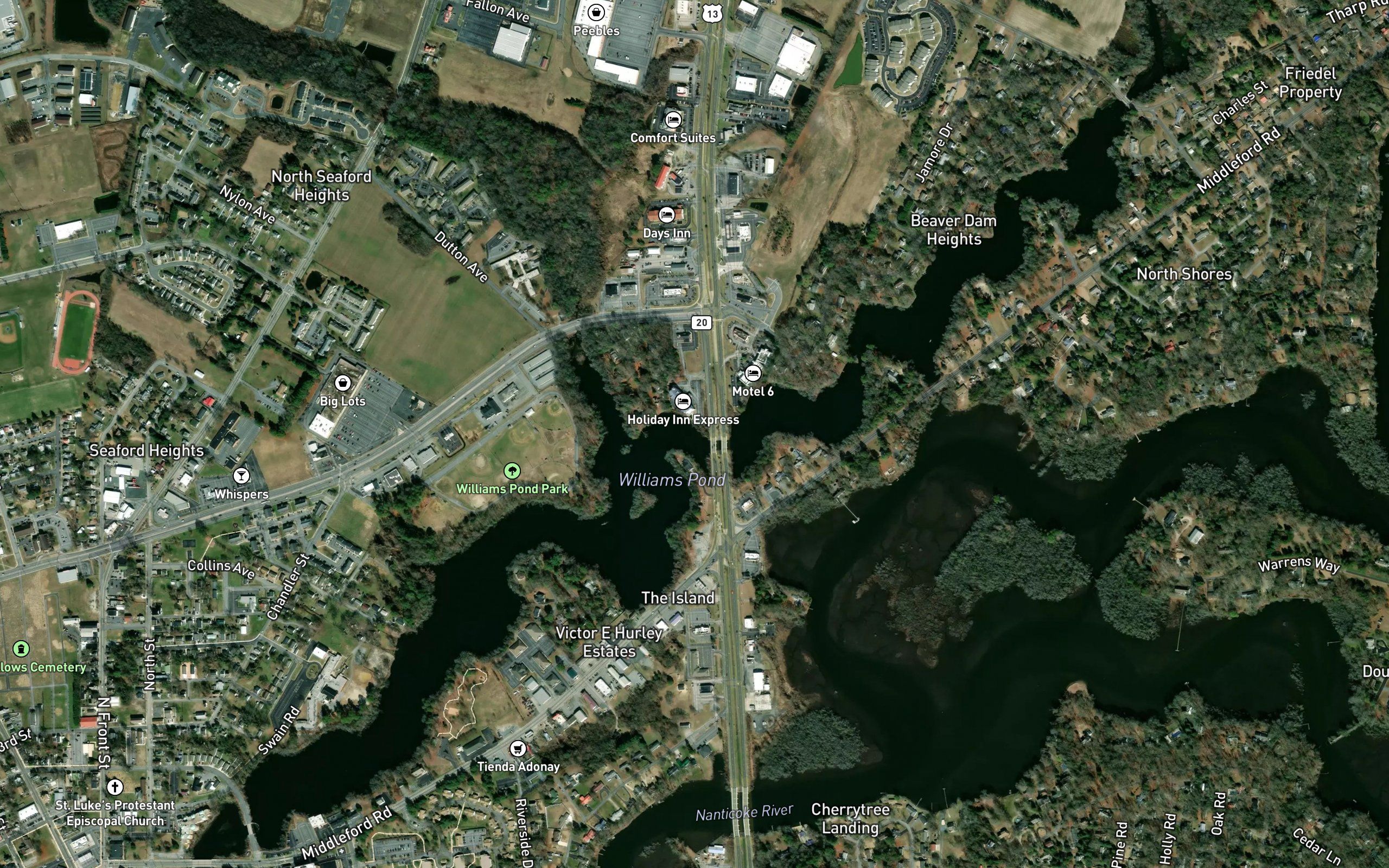 Williams Pond