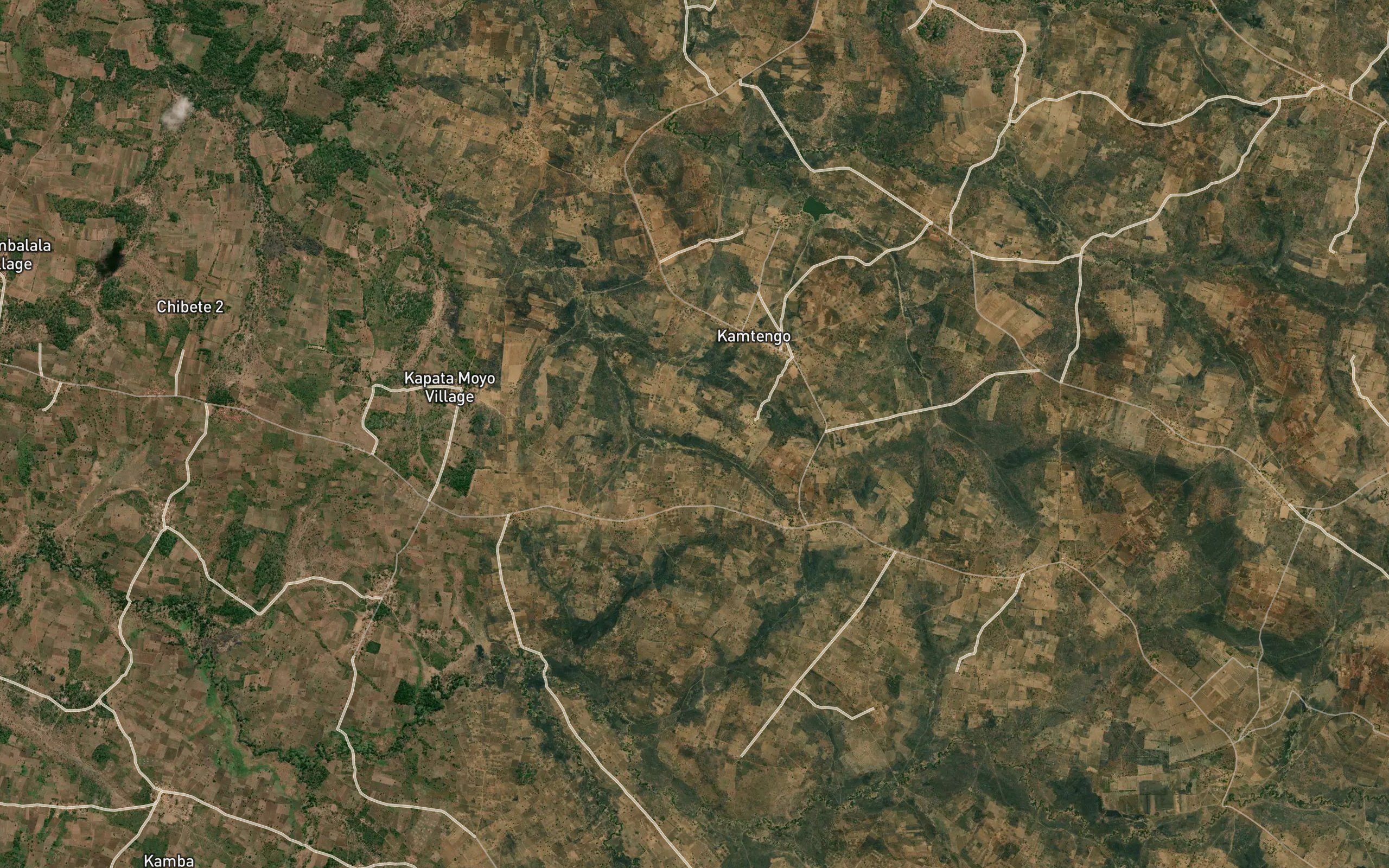 Chankazi