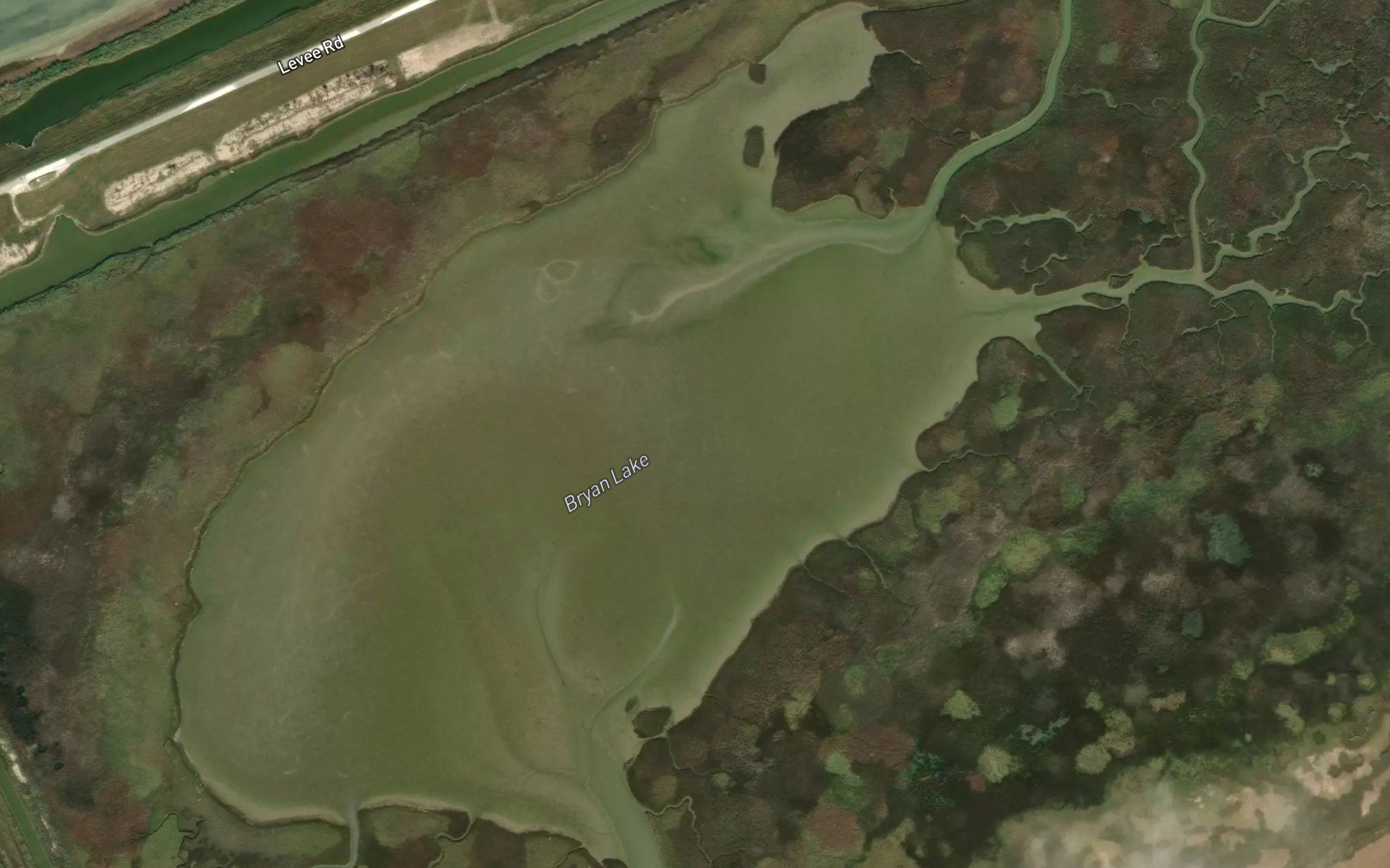 Bryan Lake