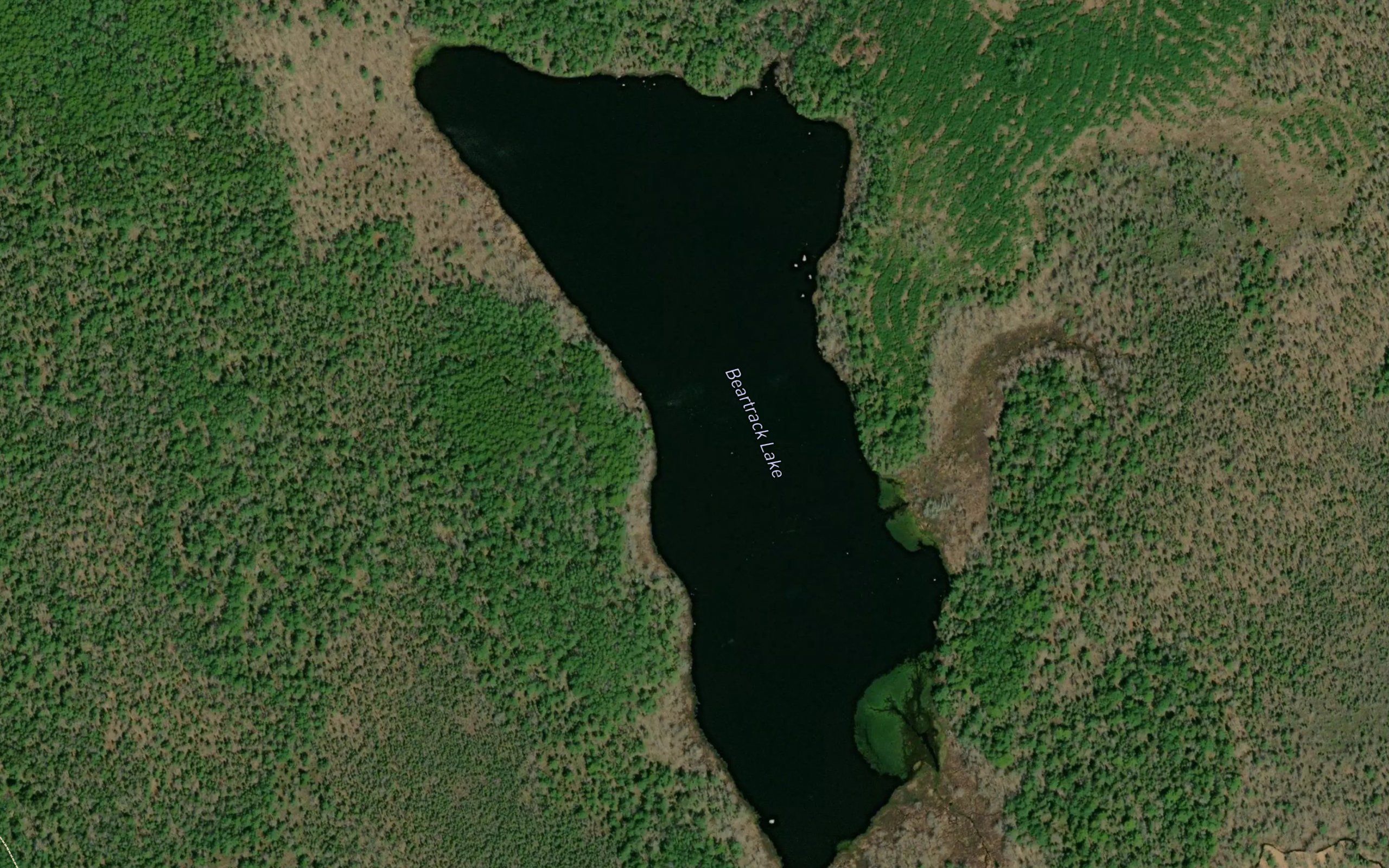 Beartrack Lake