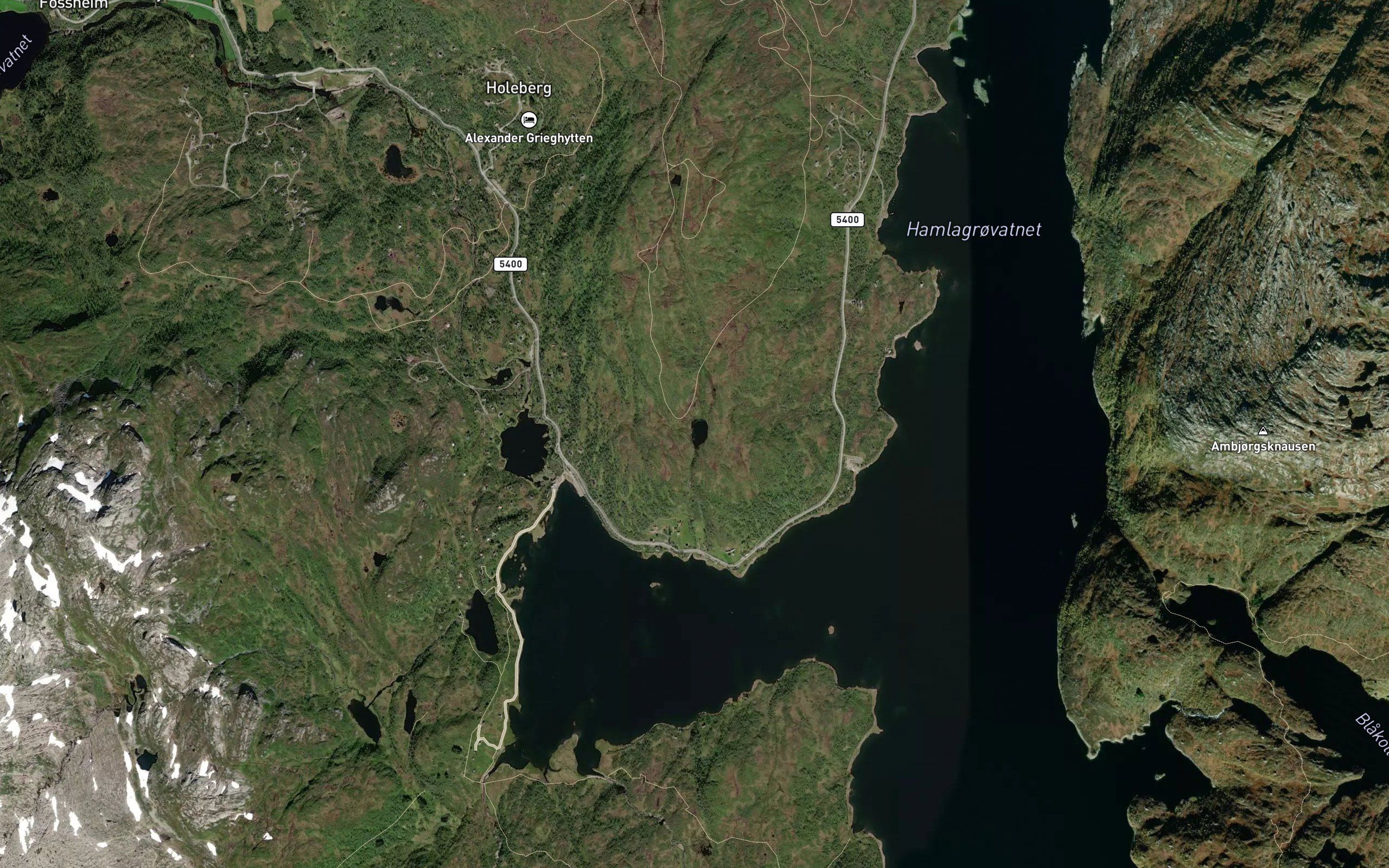 Skardtjorni