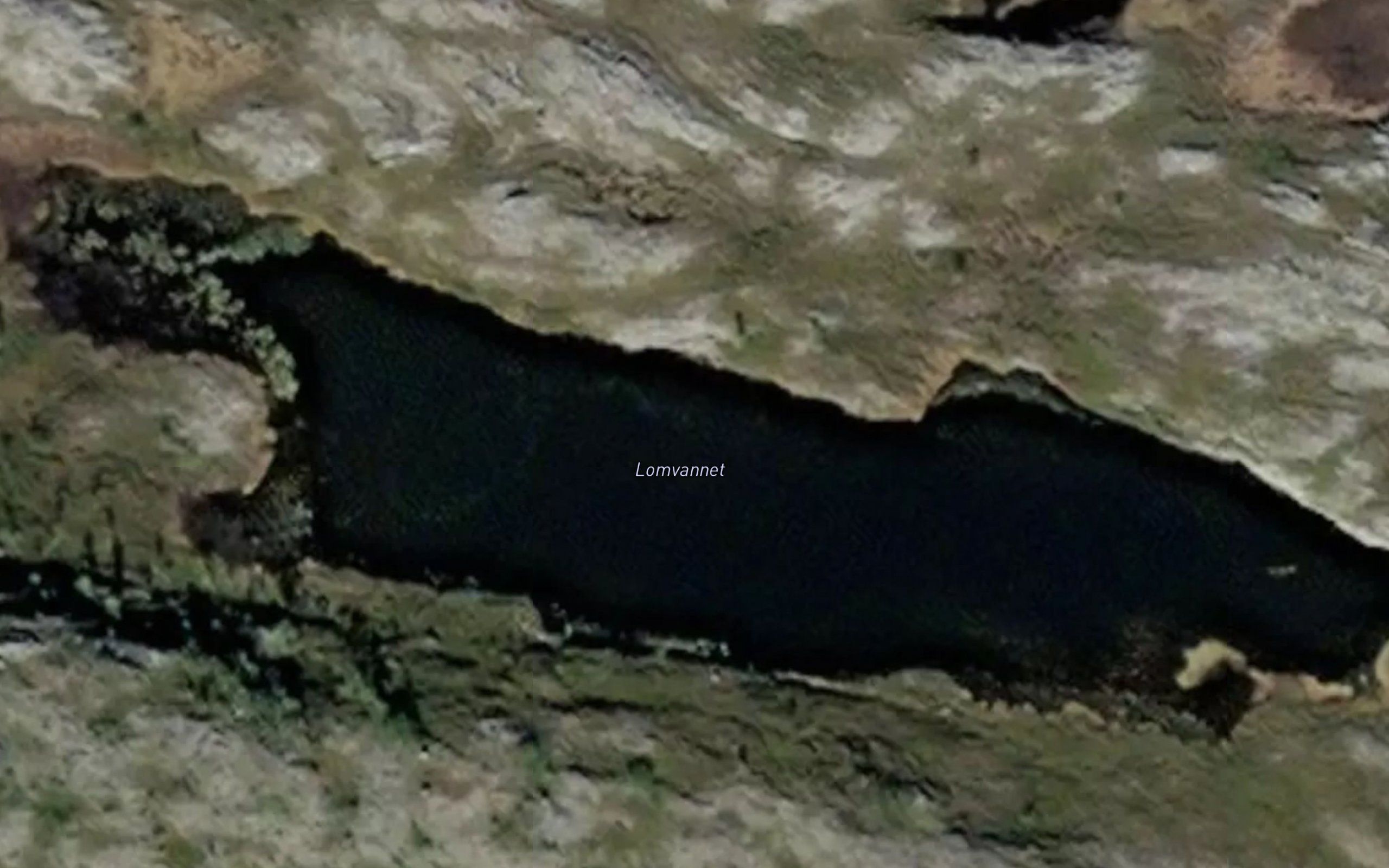 Lomvannet