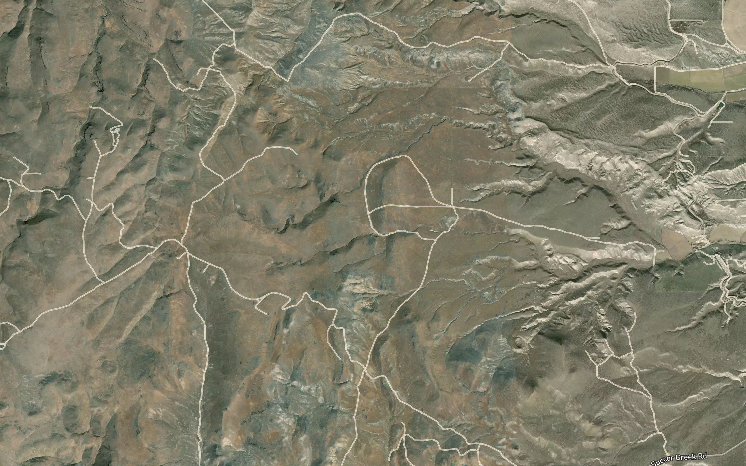 Coyote Spring