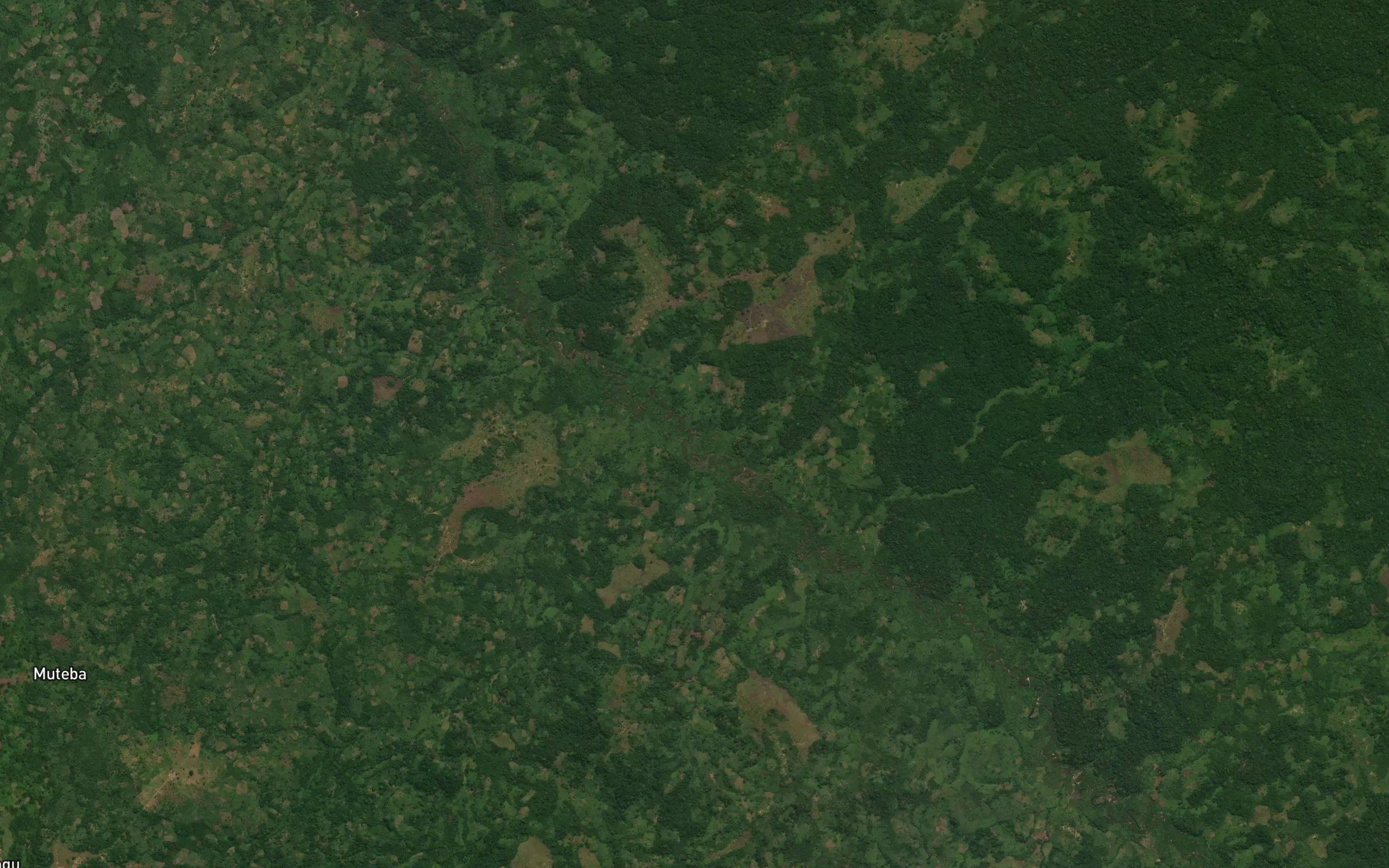 Lukunzi