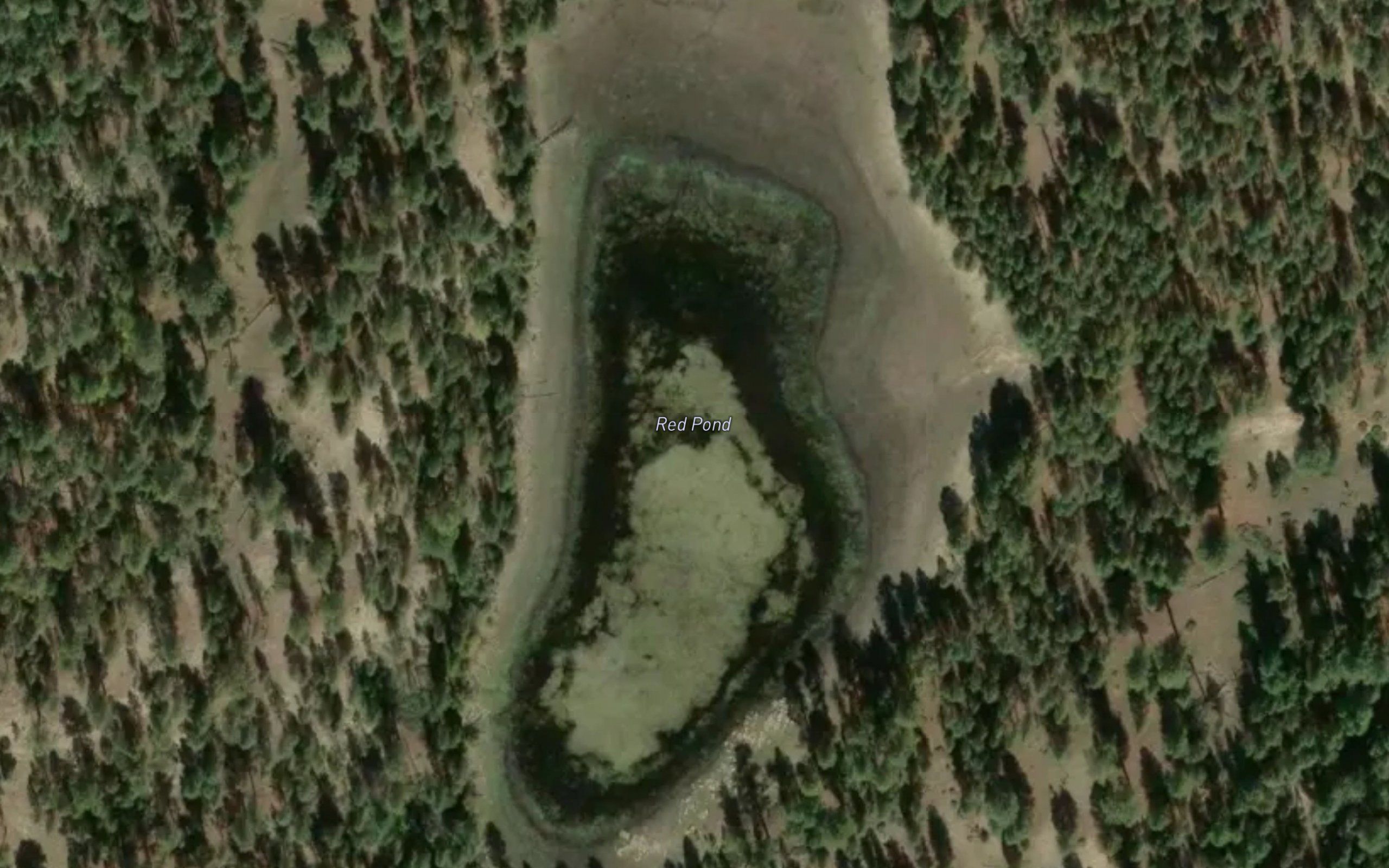 Red Pond