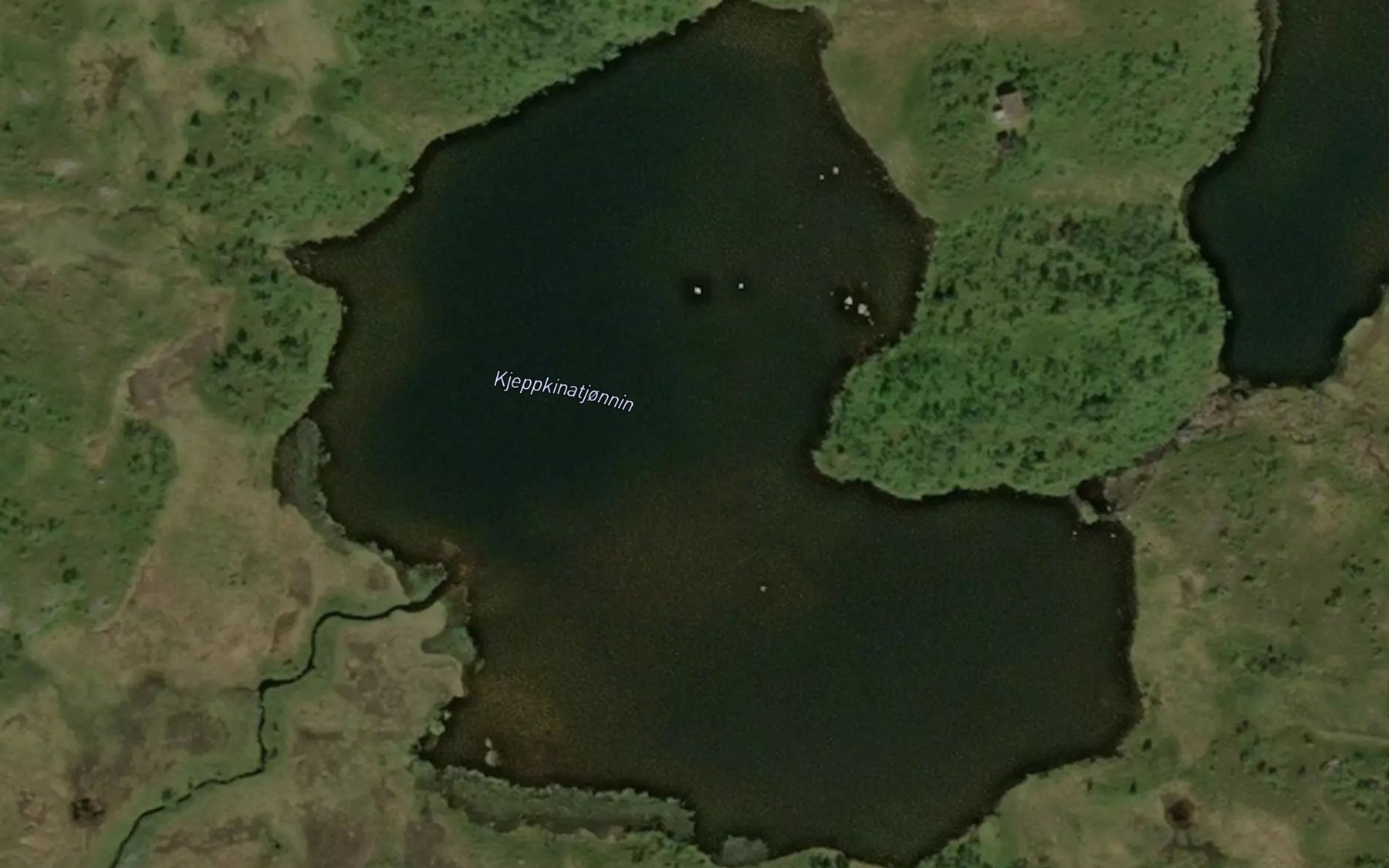Satellite map of the Kjeppkinatjornin