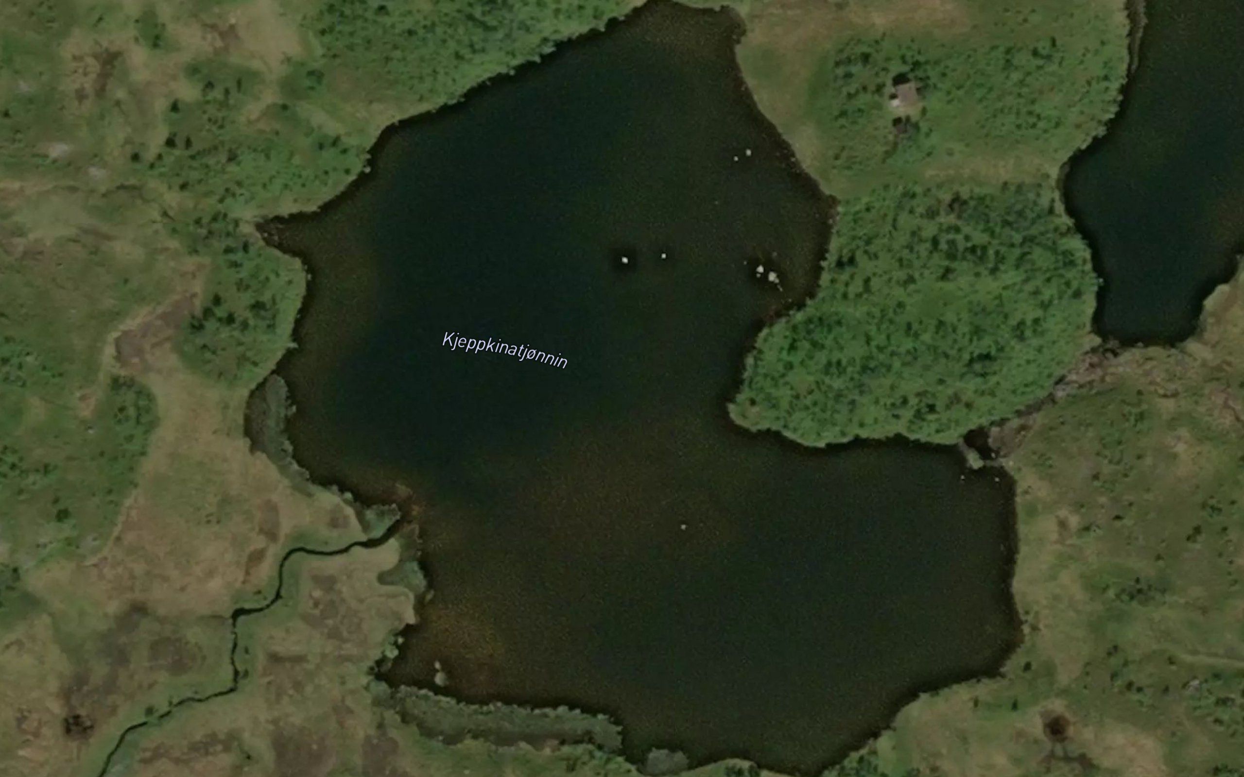 Kjeppkinatjornin
