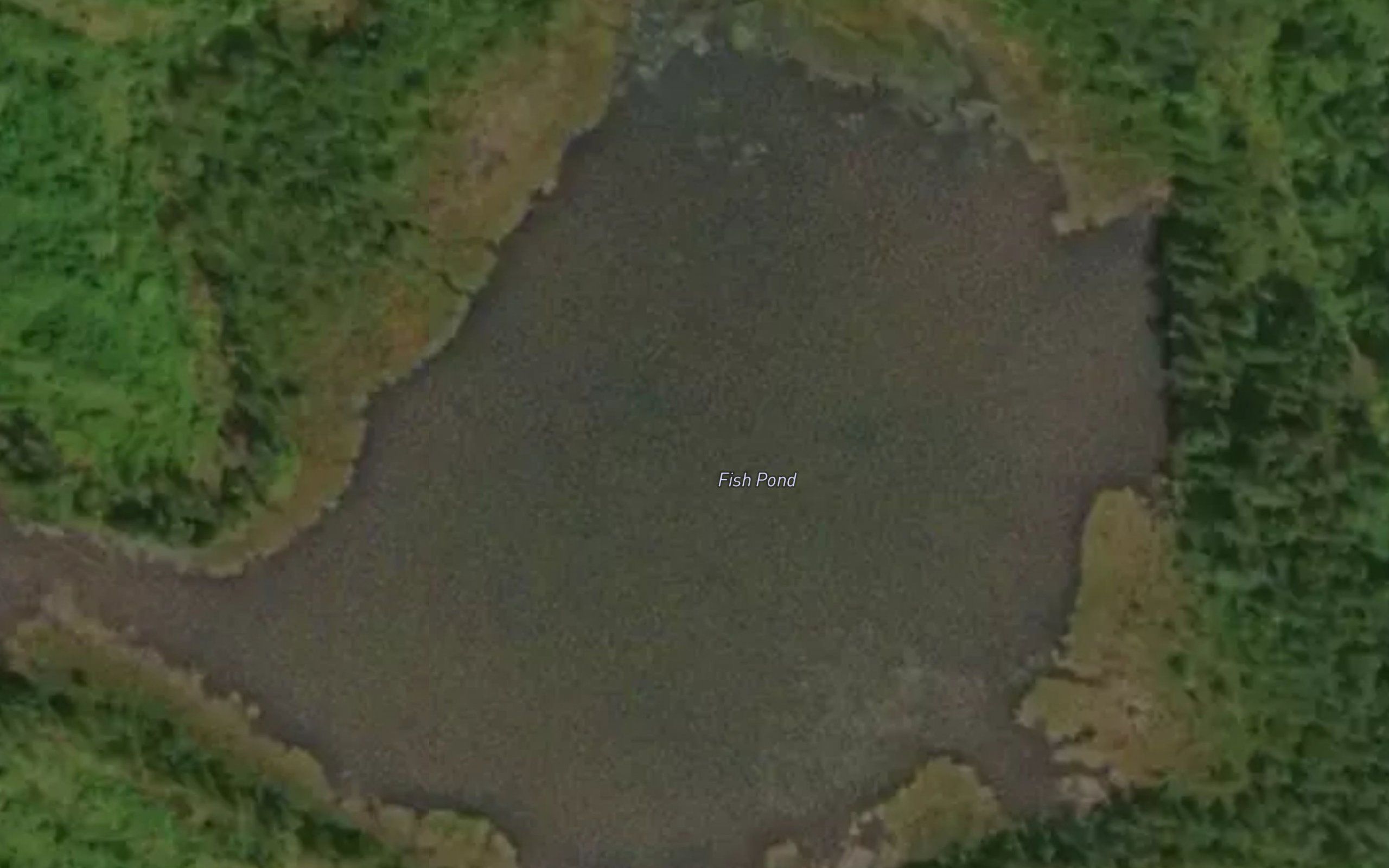 Fish Pond