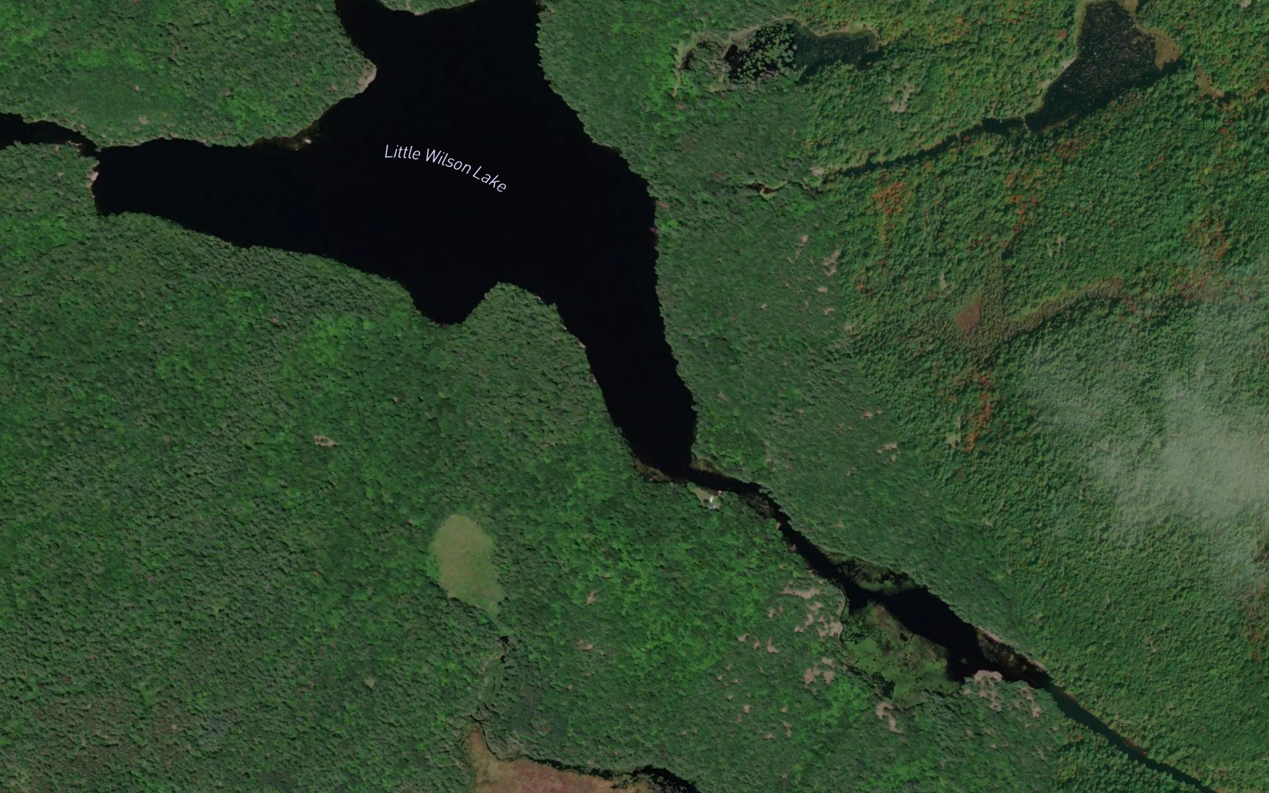 Little Wilson Lake