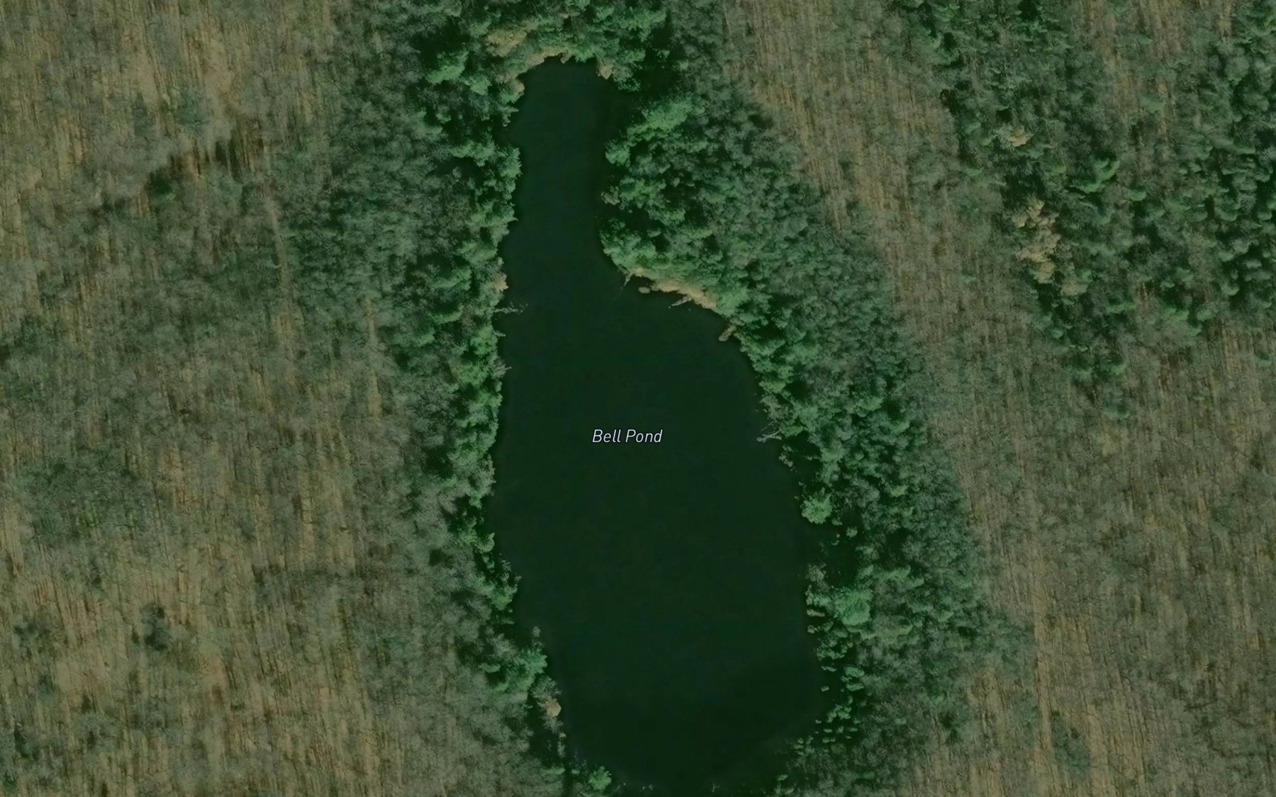 Satellite map of the Bell Pond