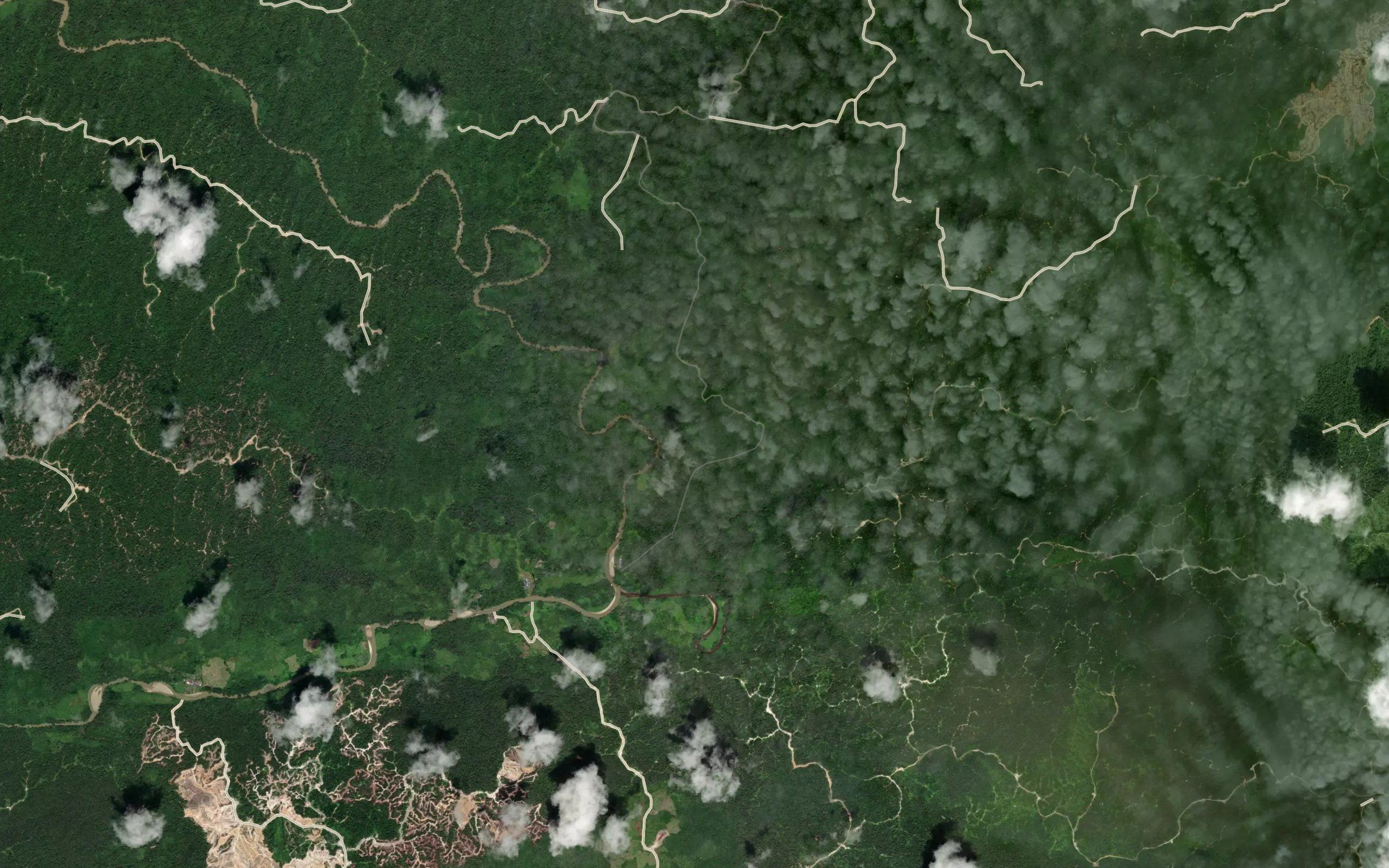 Sungai Musang
