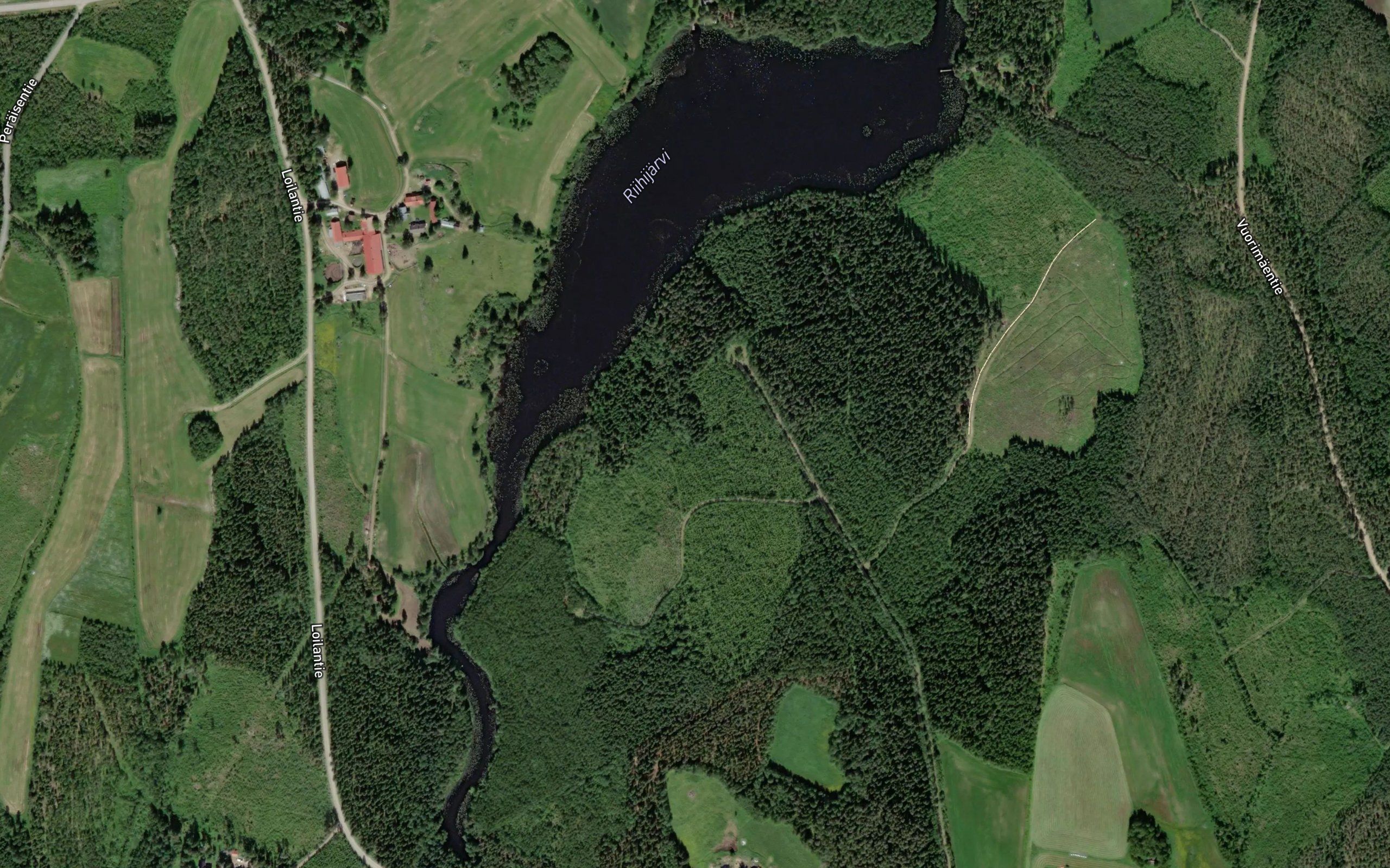 Riihijarvi
