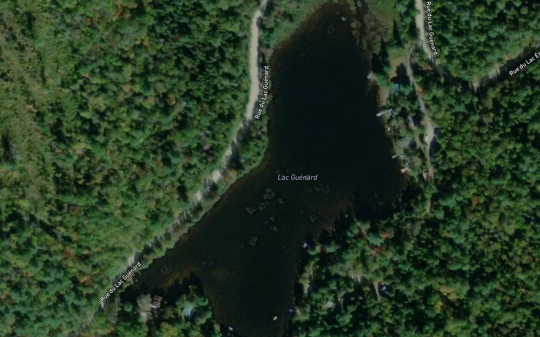 Satellite map of the Lac Guenard