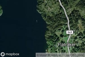 Traedsvika