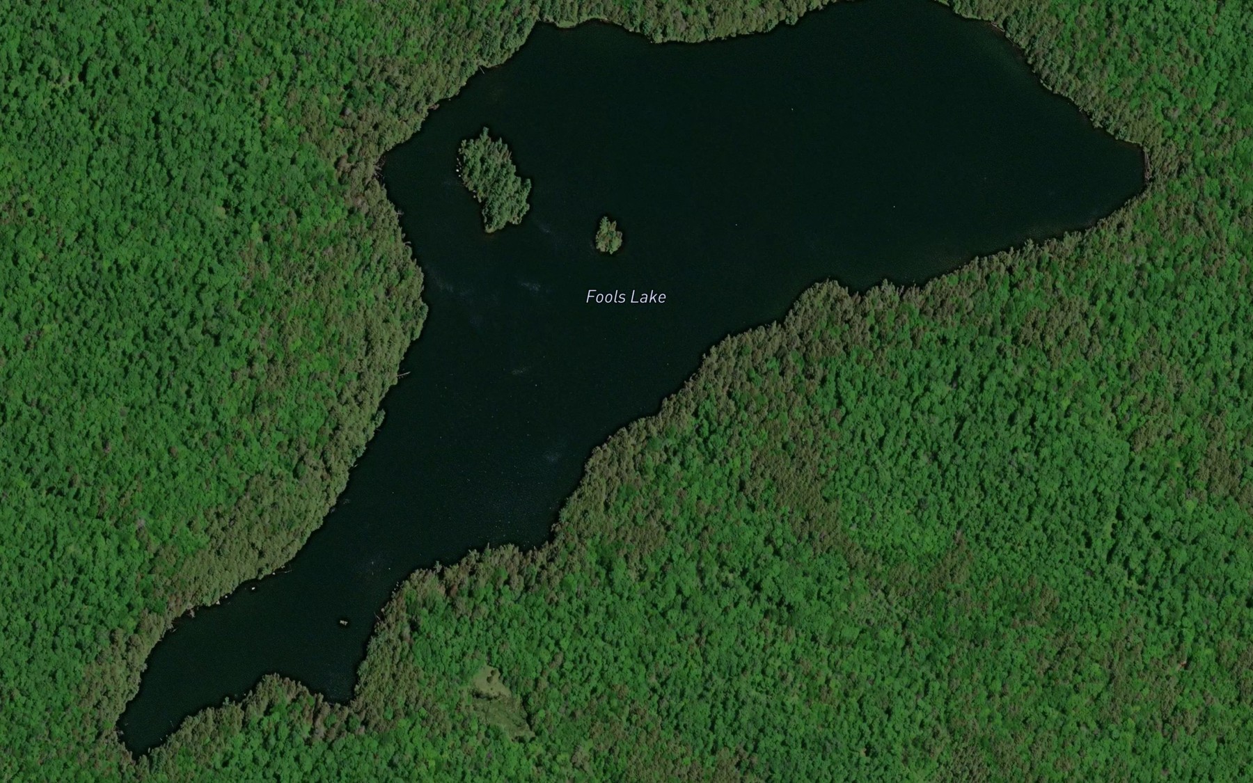 Satellite map of the Fools Lake