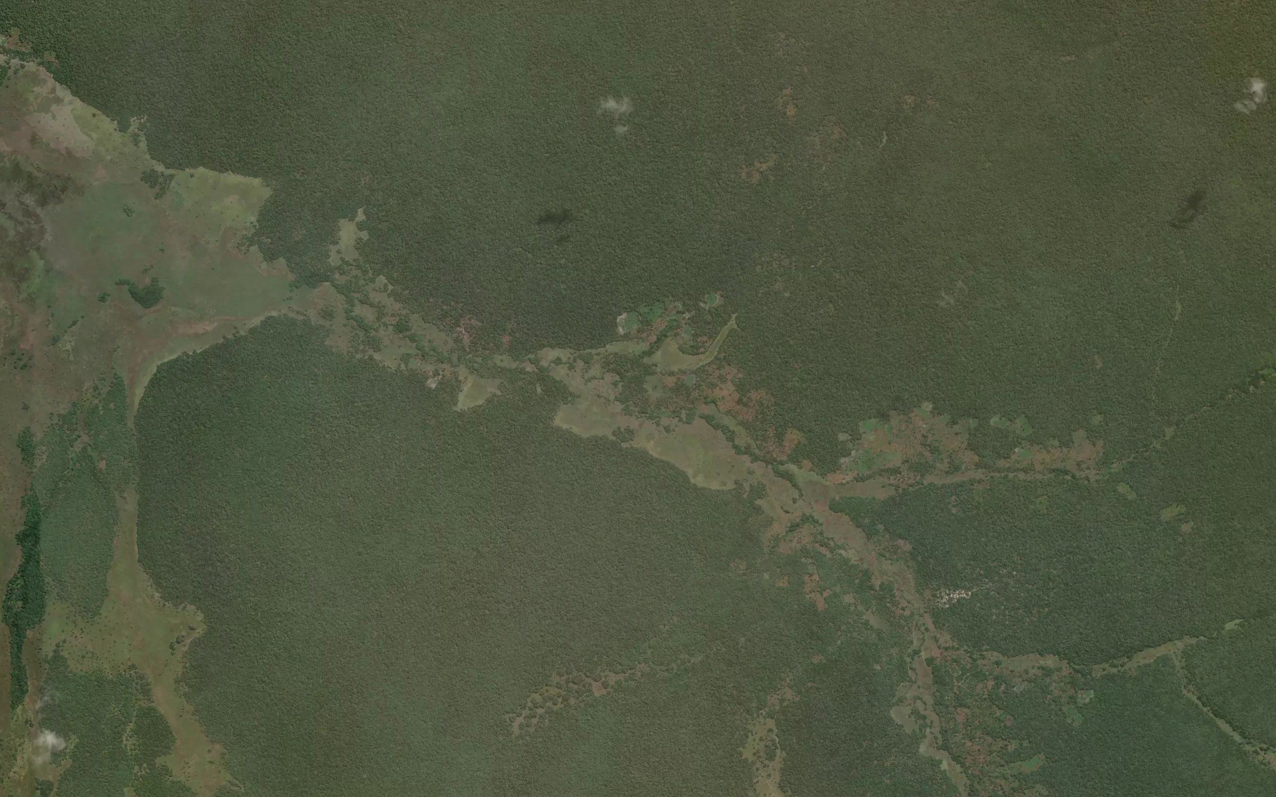 Kavaya