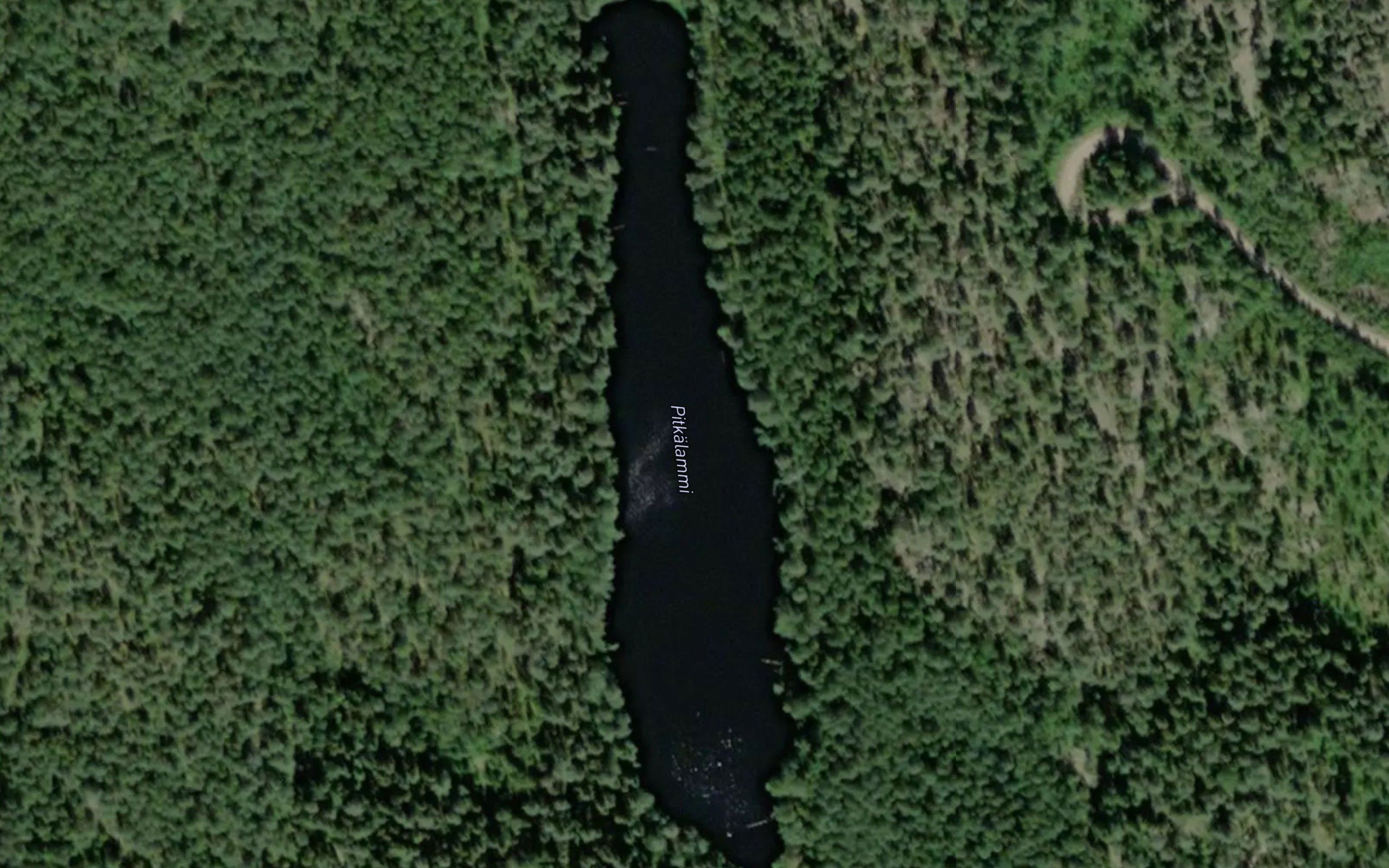 Pitkalammi