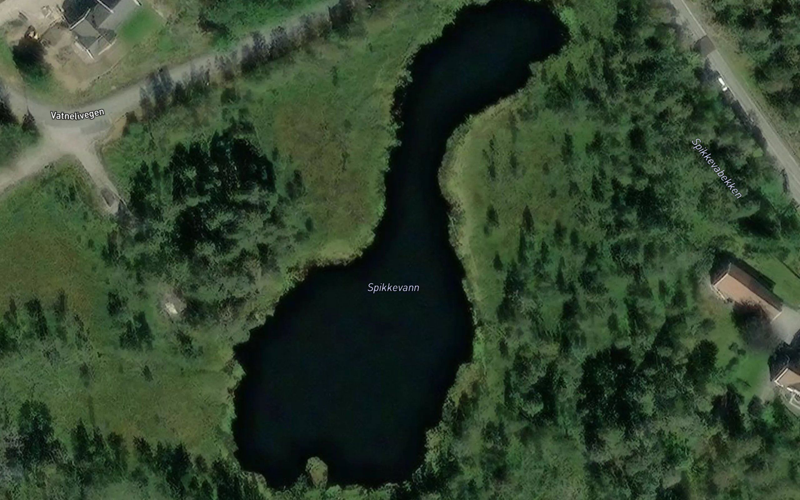 Spikkevann