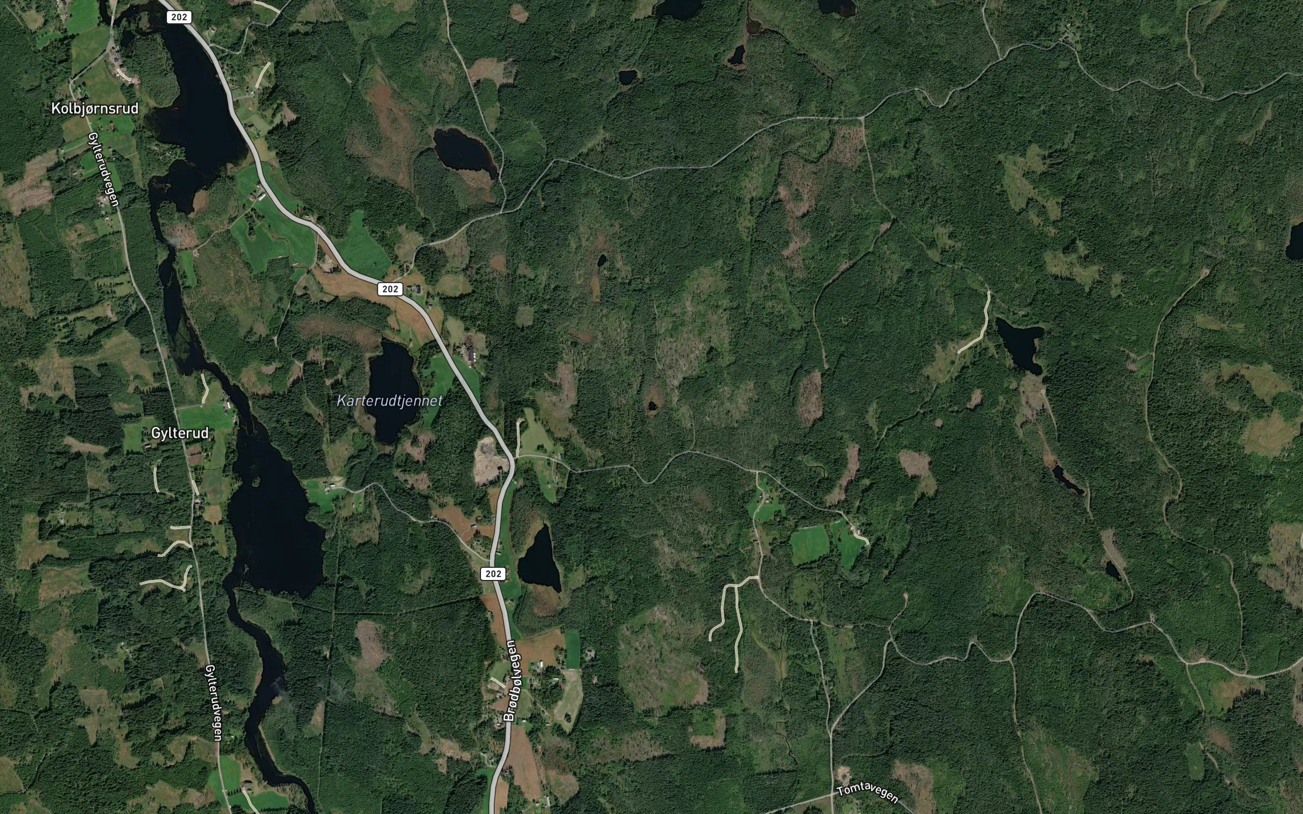 Aurtjern