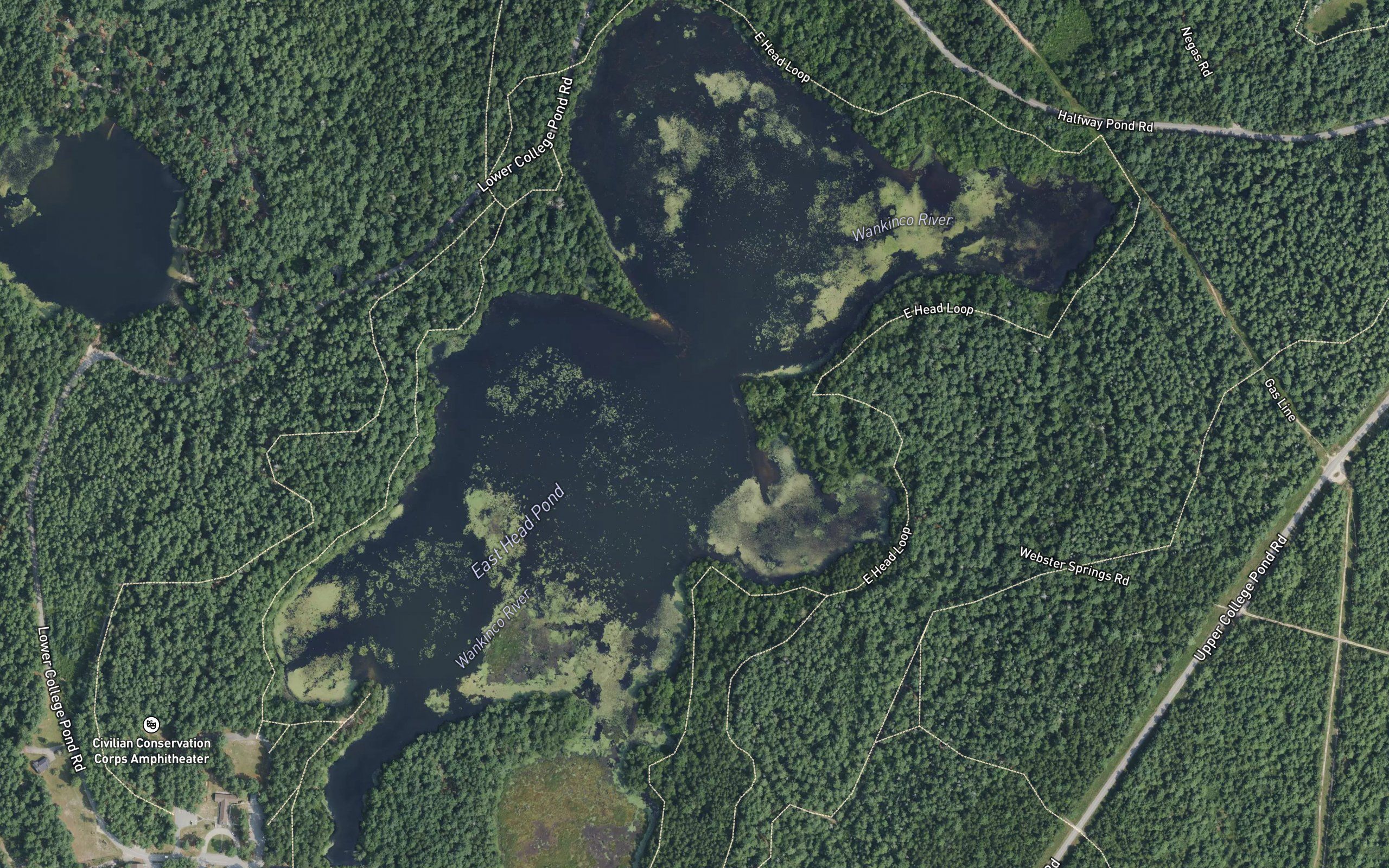 East Head Pond