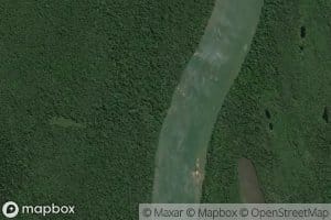 Igarape Forte Veneza