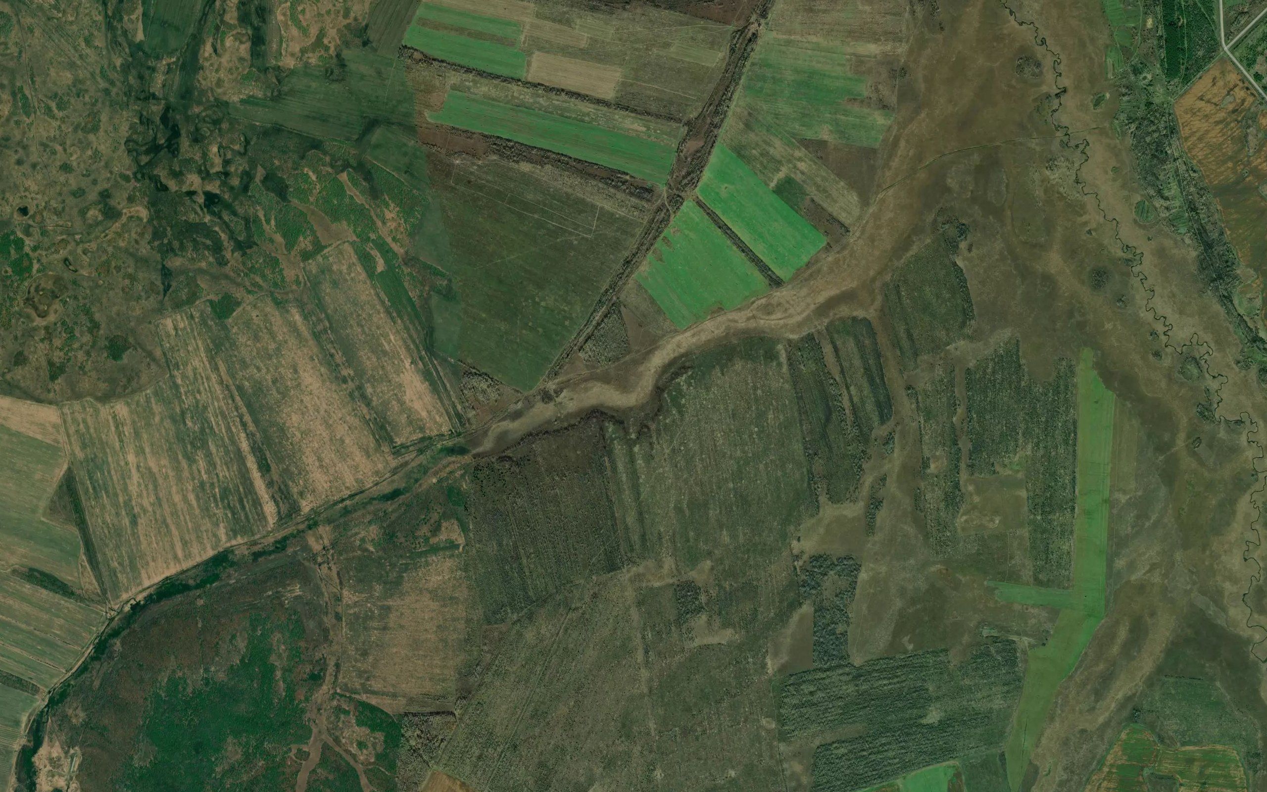 Pad' Sukhaya