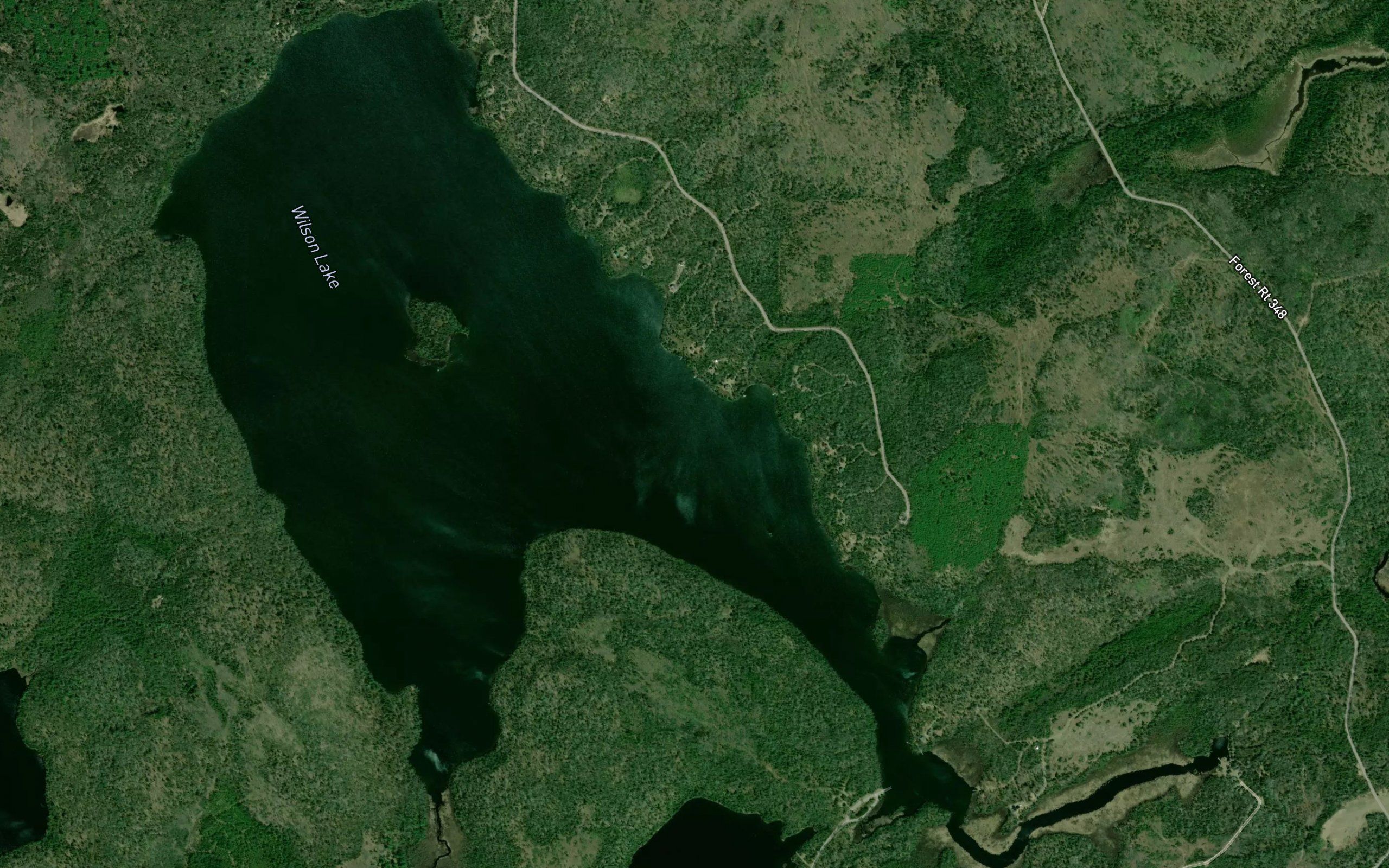Wilson Lake