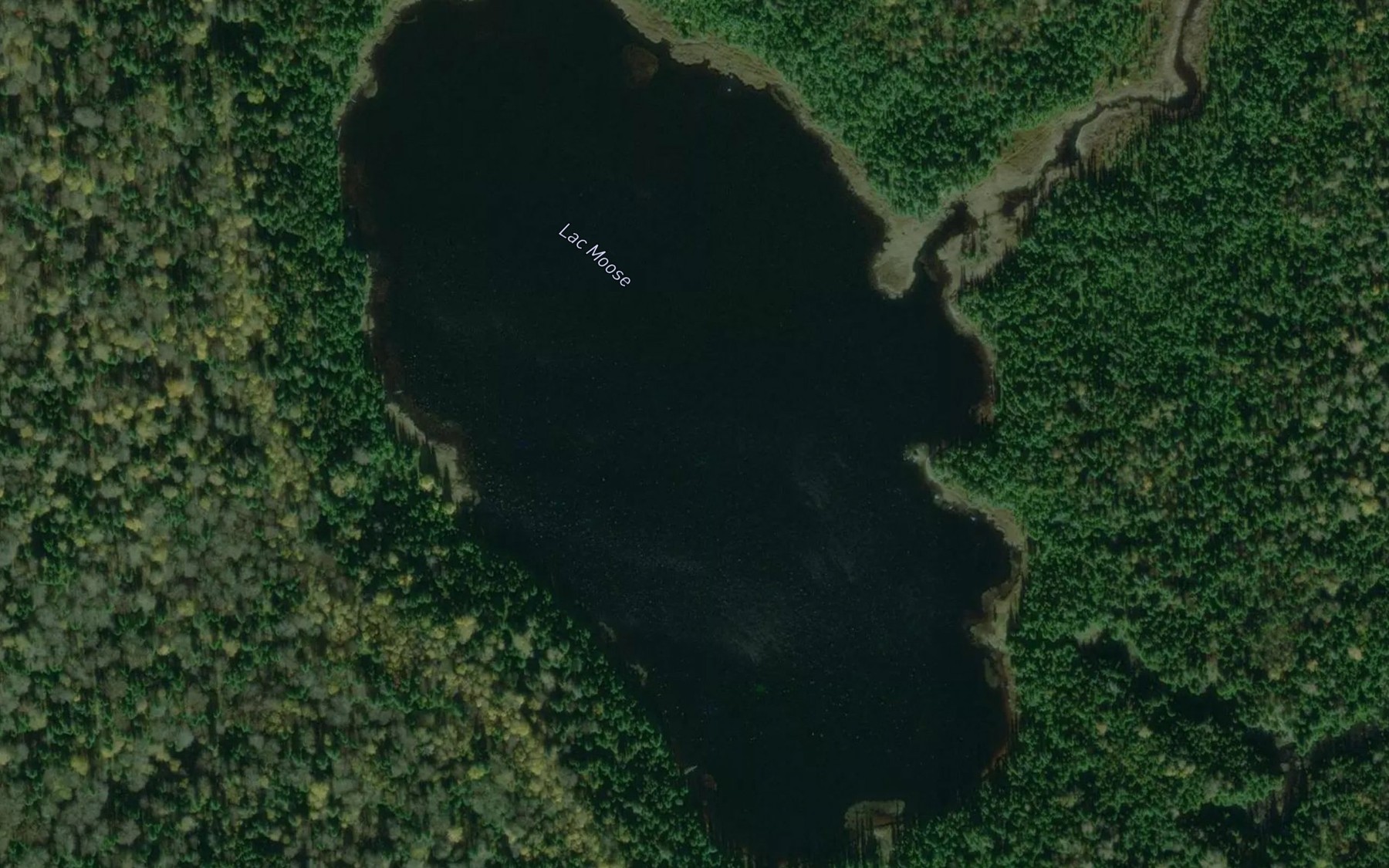 Satellite map of the Lac Moose