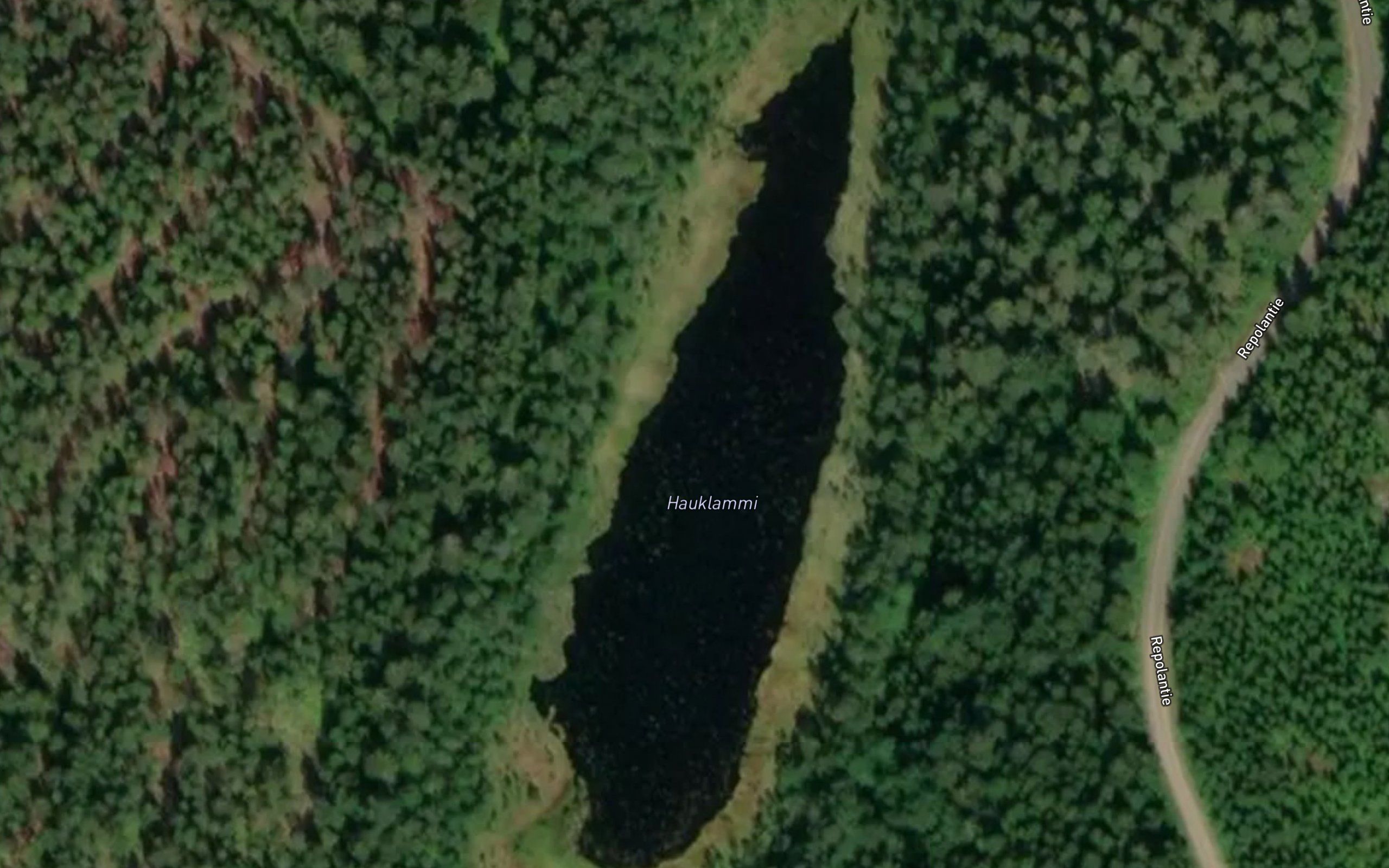 Hauklammi