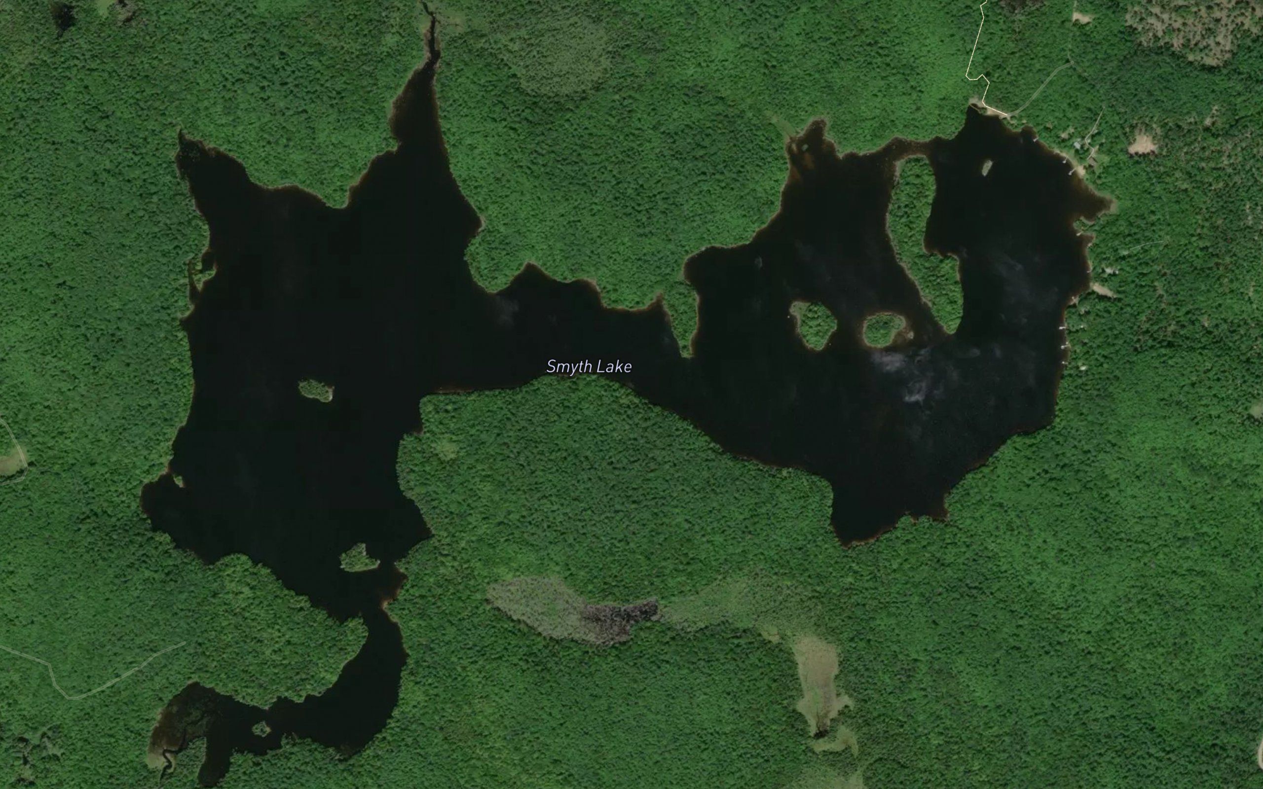 Smyth Lake