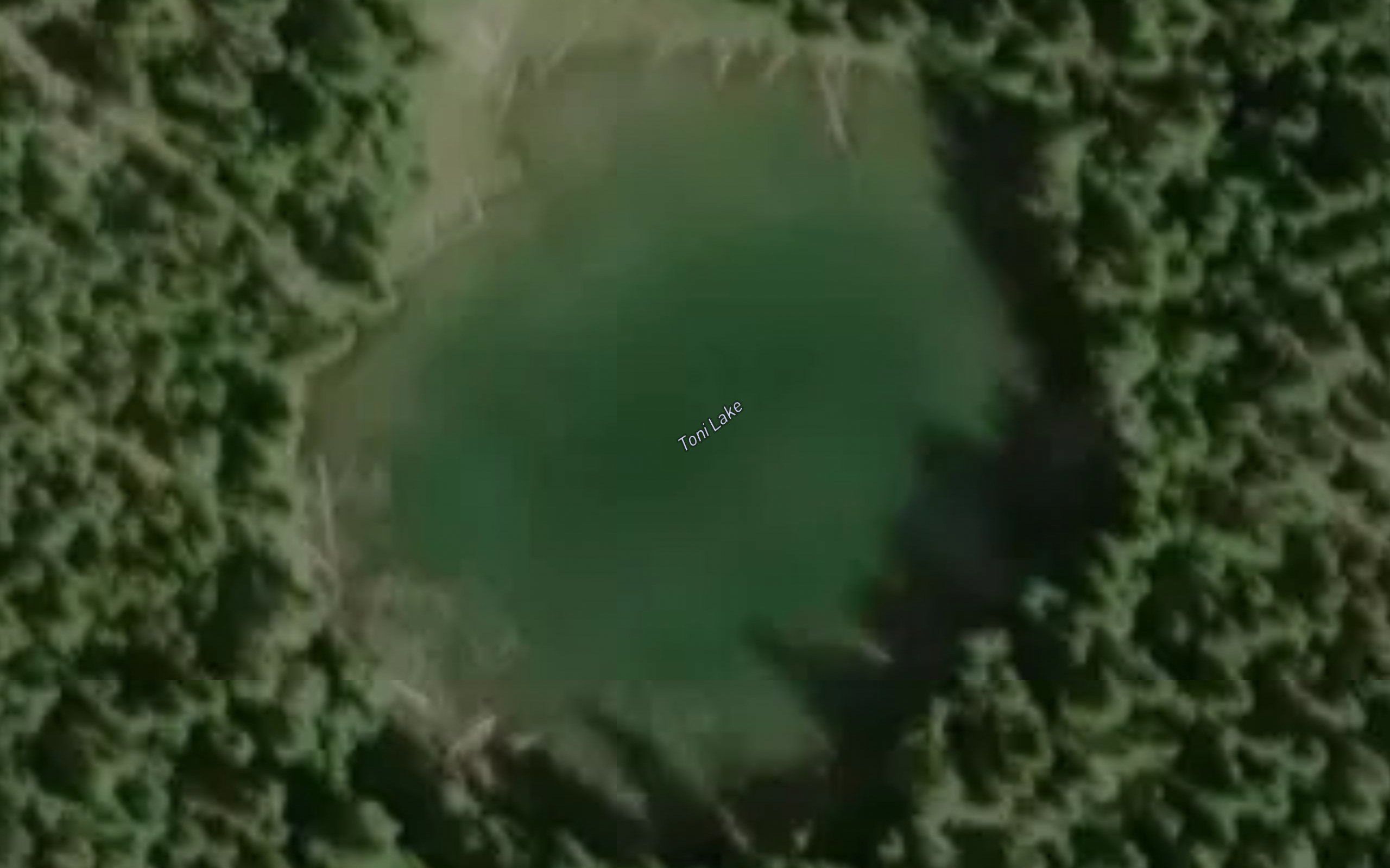 Toni Lake