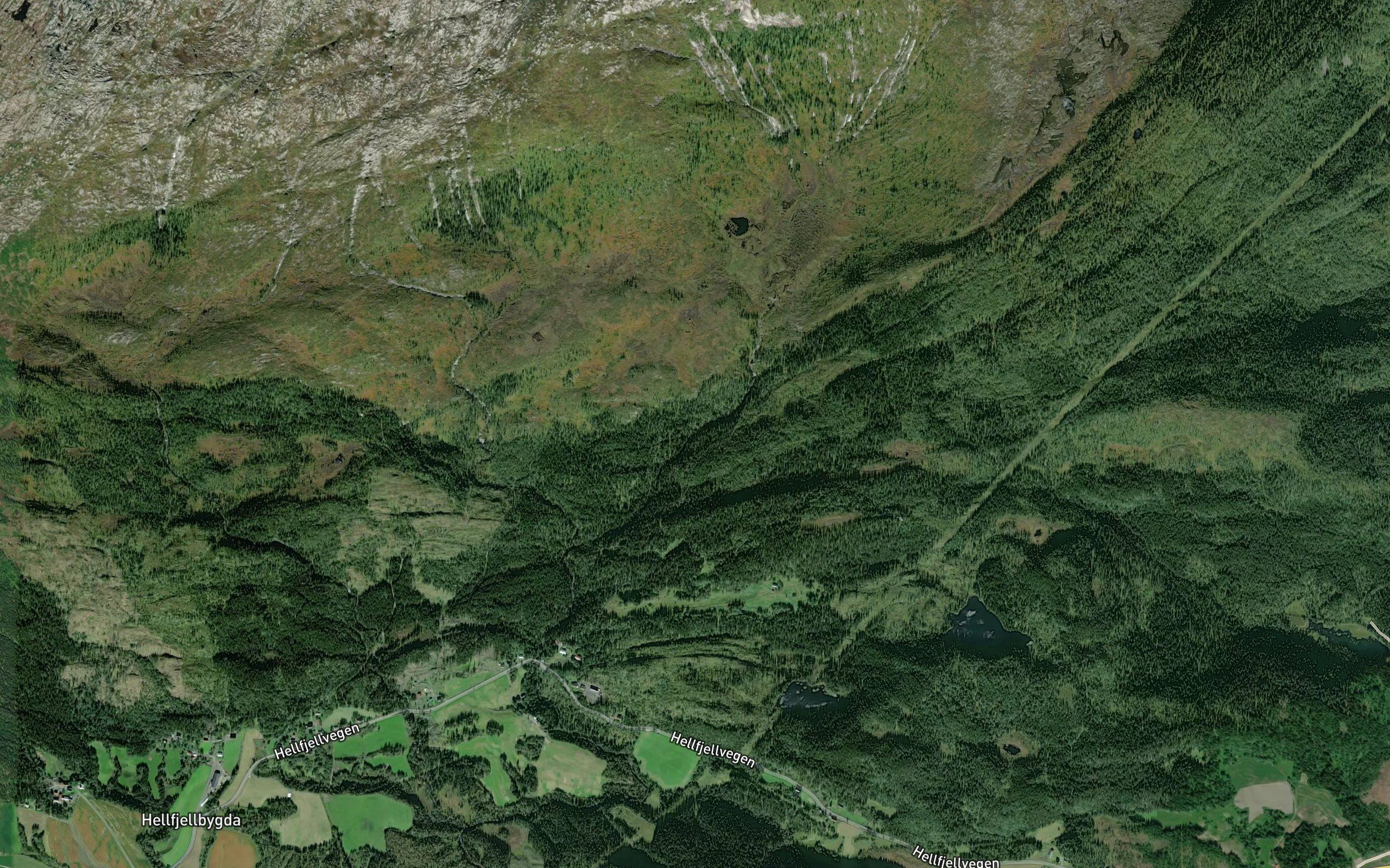 Hoglielva