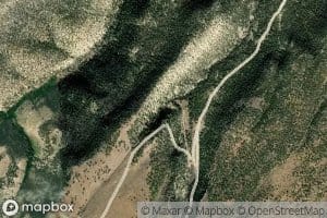 Pine Spring