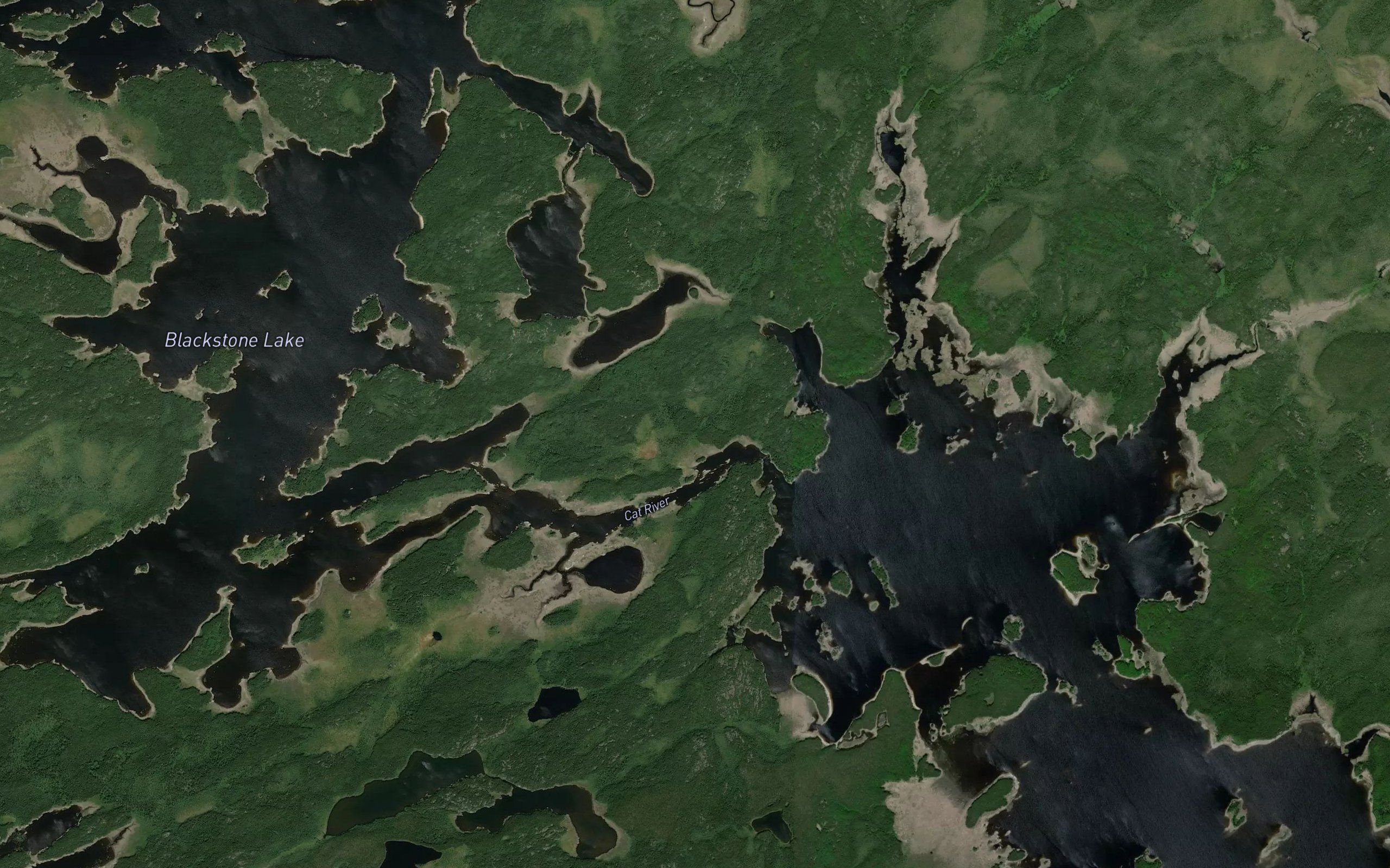 Cat River (East Channel)