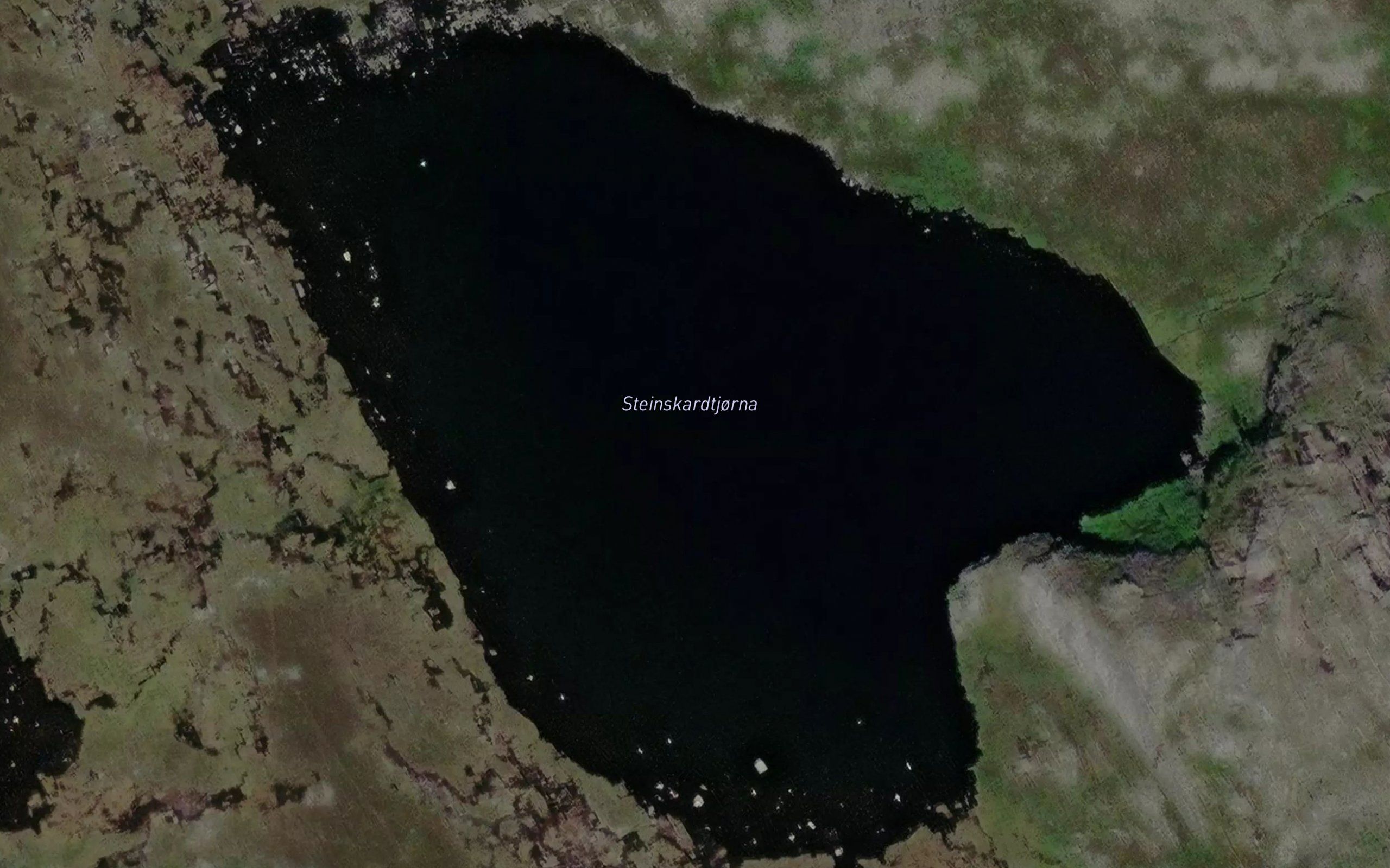 Steinskardtjorna