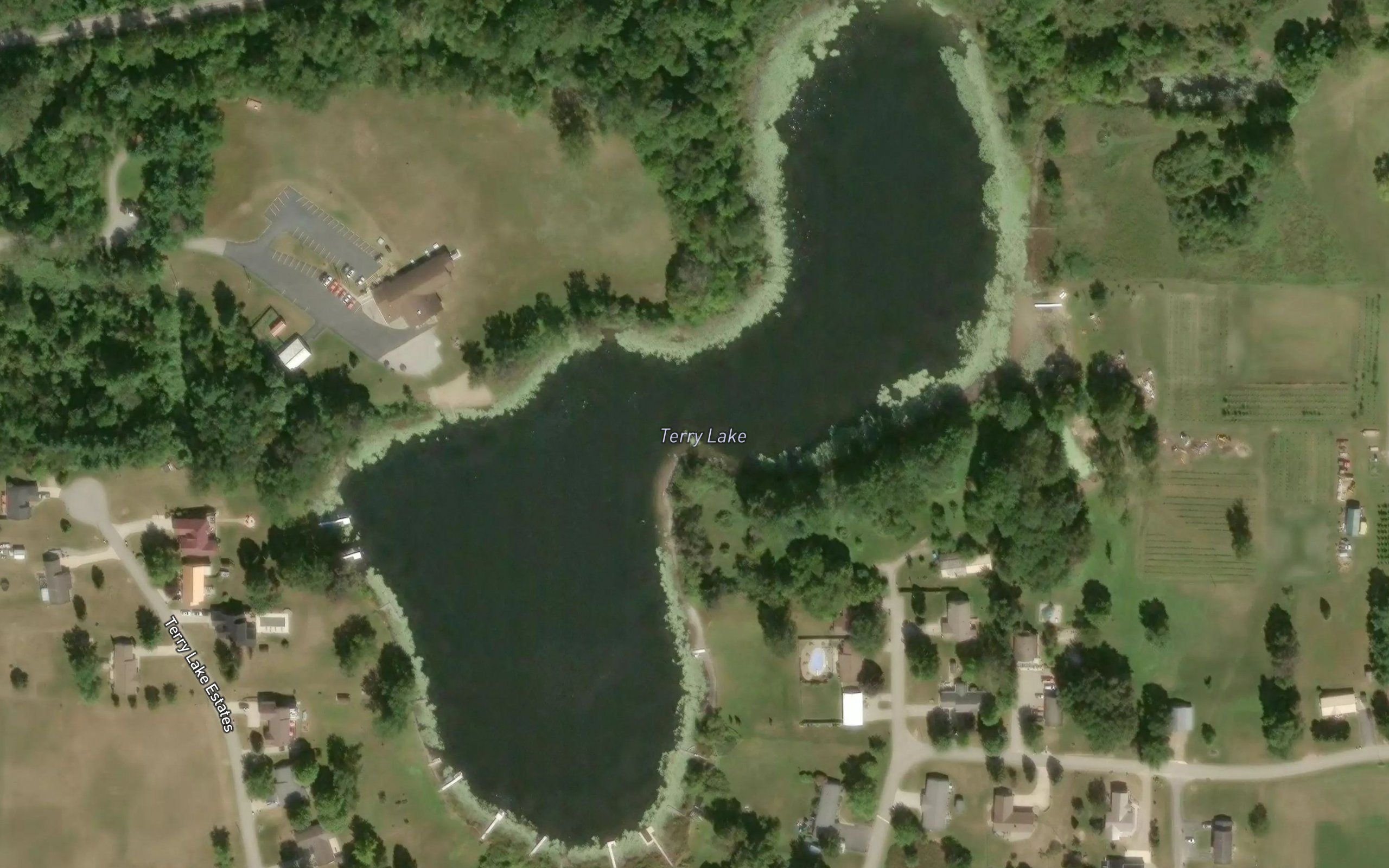 Terry Lake