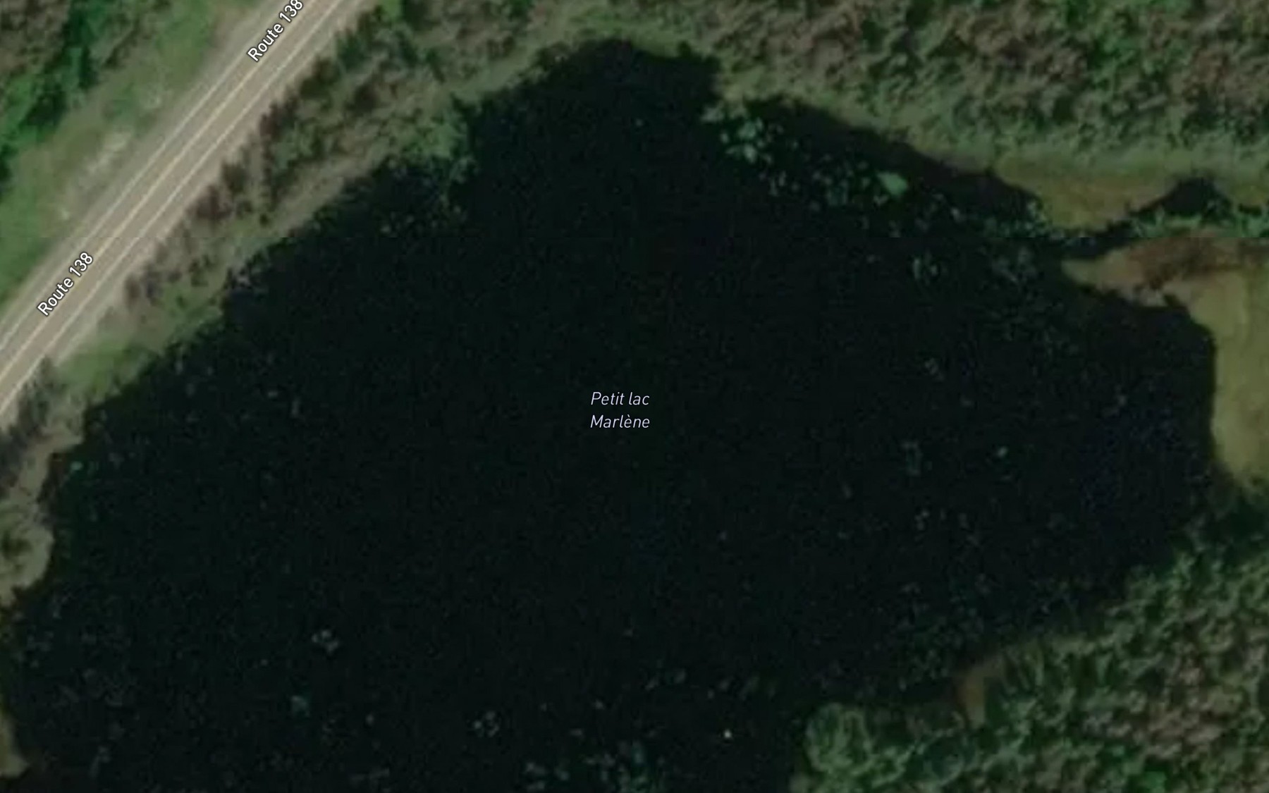 Satellite map of the Petit lac Marlene