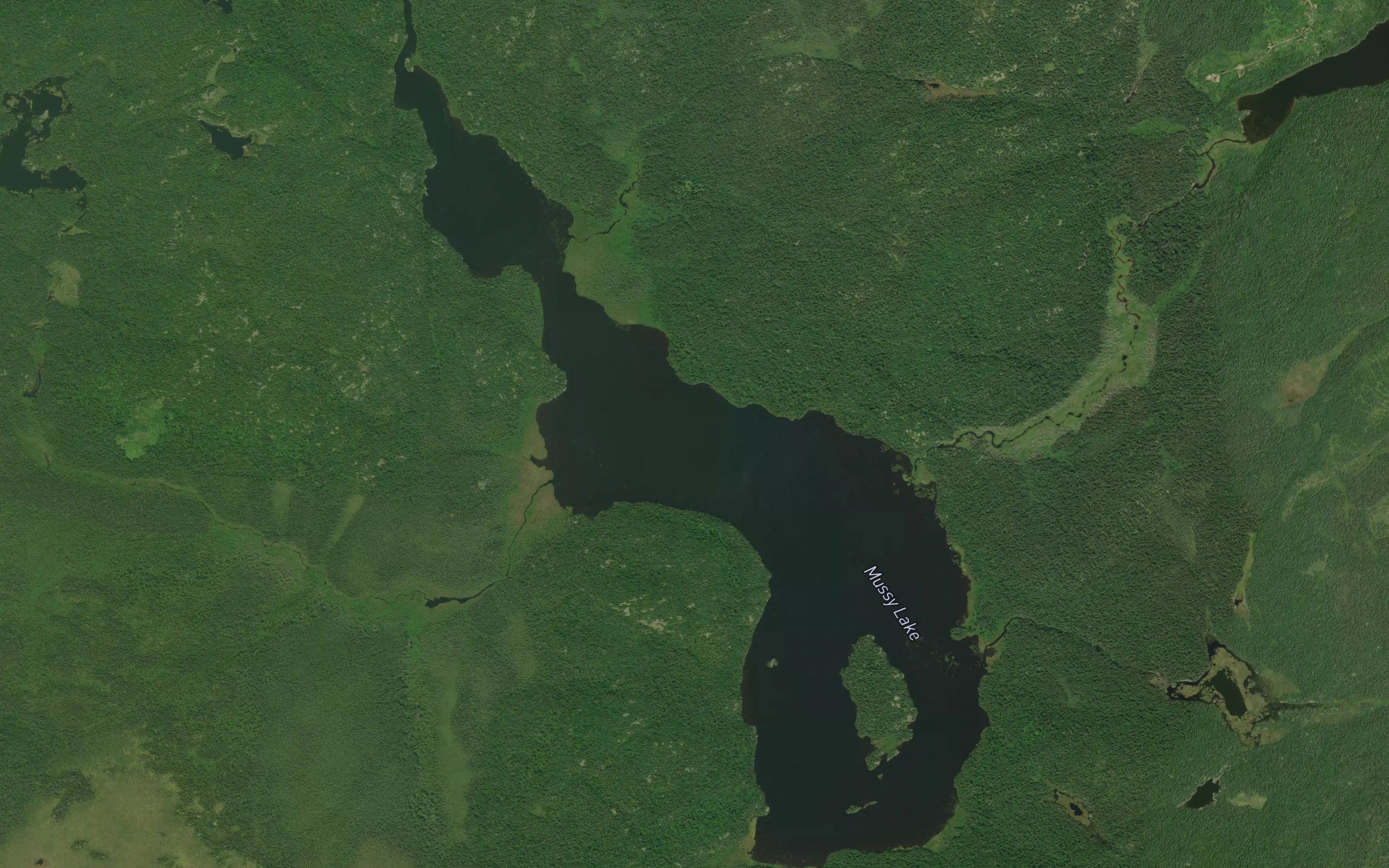 Mussy Lake