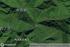 Nakano Sawa