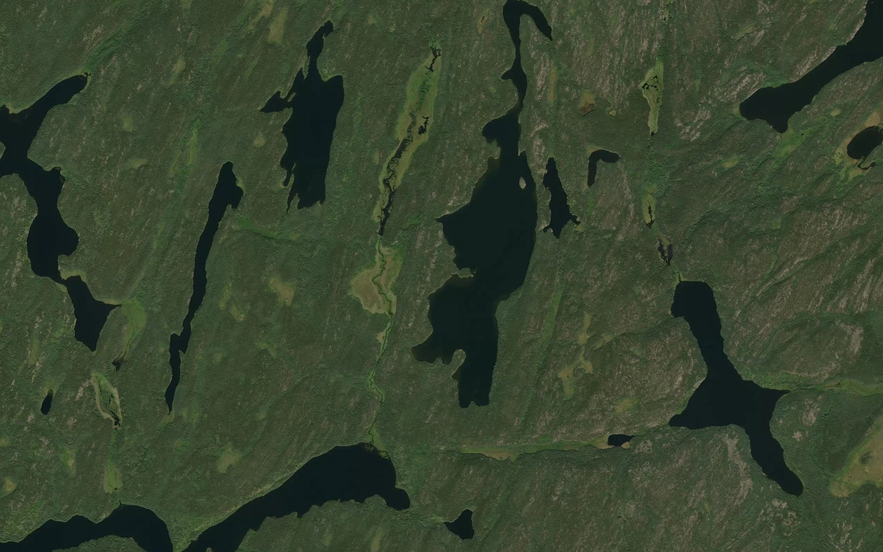Satellite map of the Robinson Lake