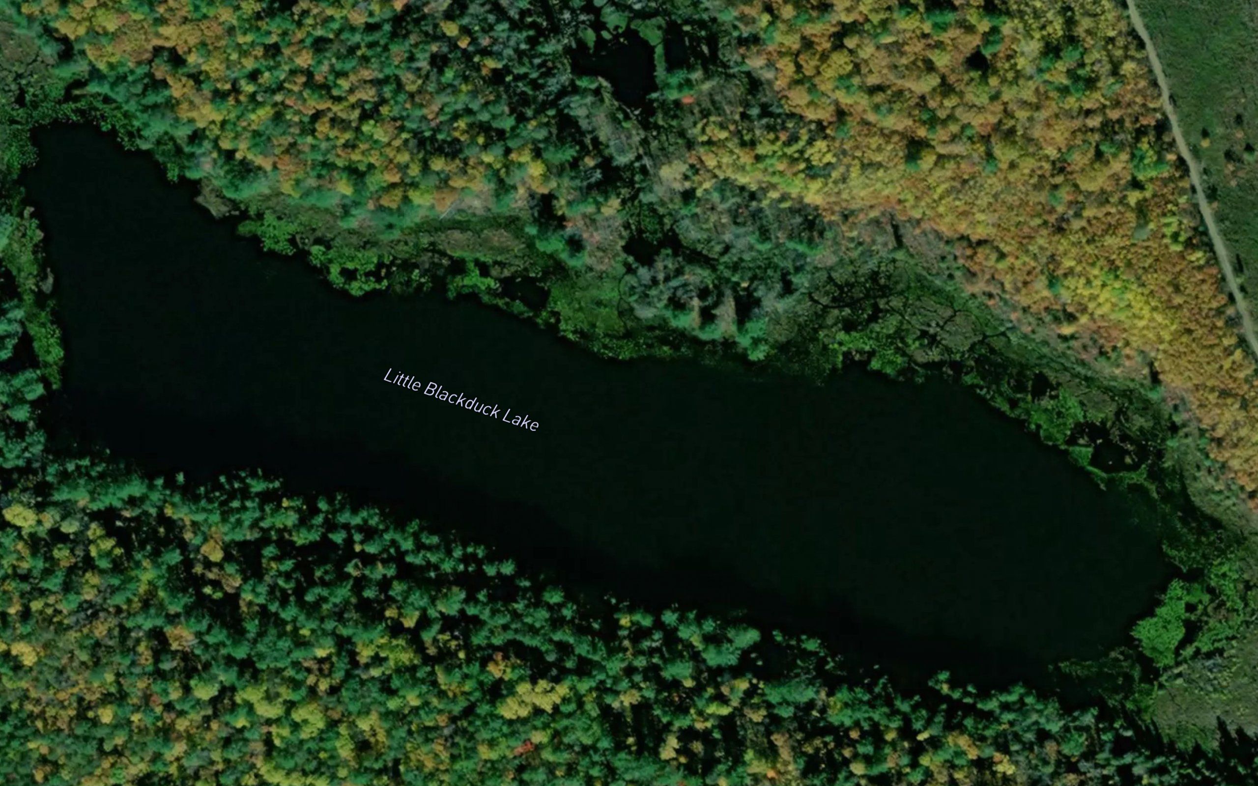 Little Blackduck Lake