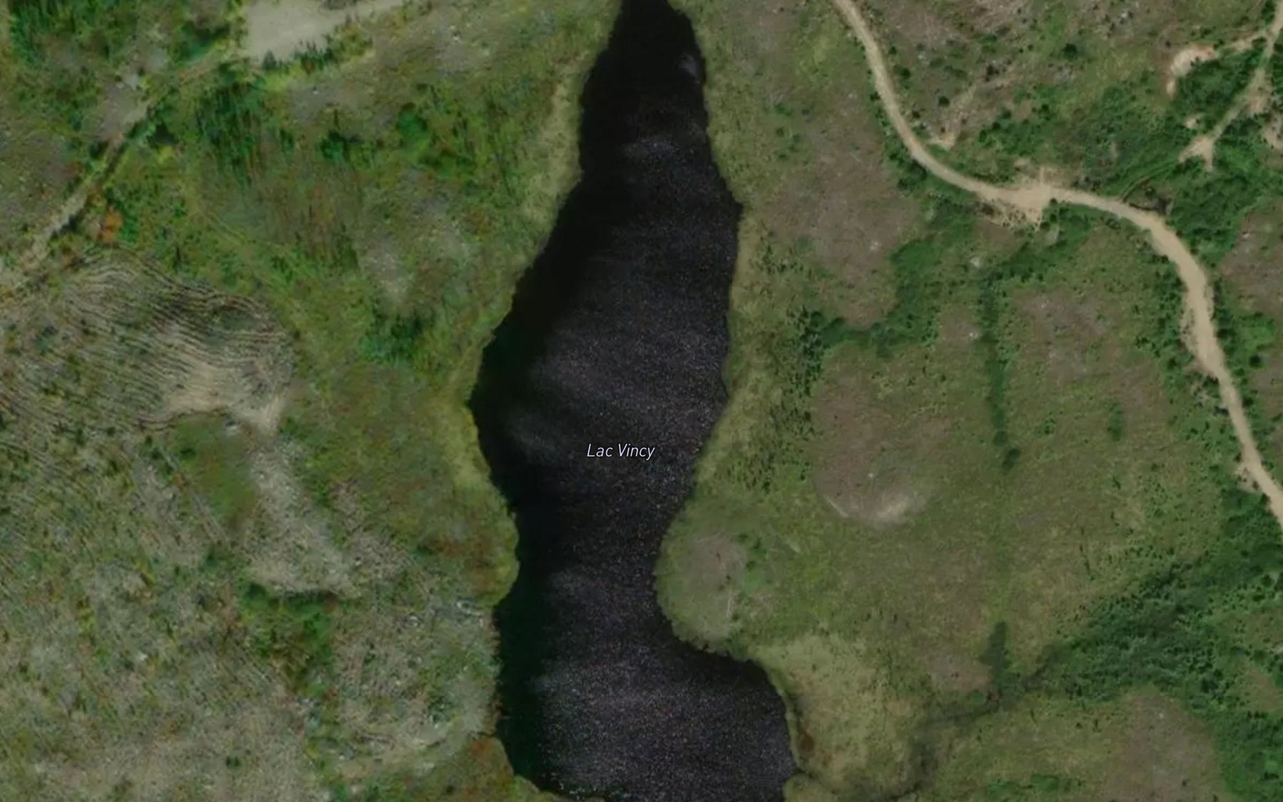 Satellite map of the Lac Vincy