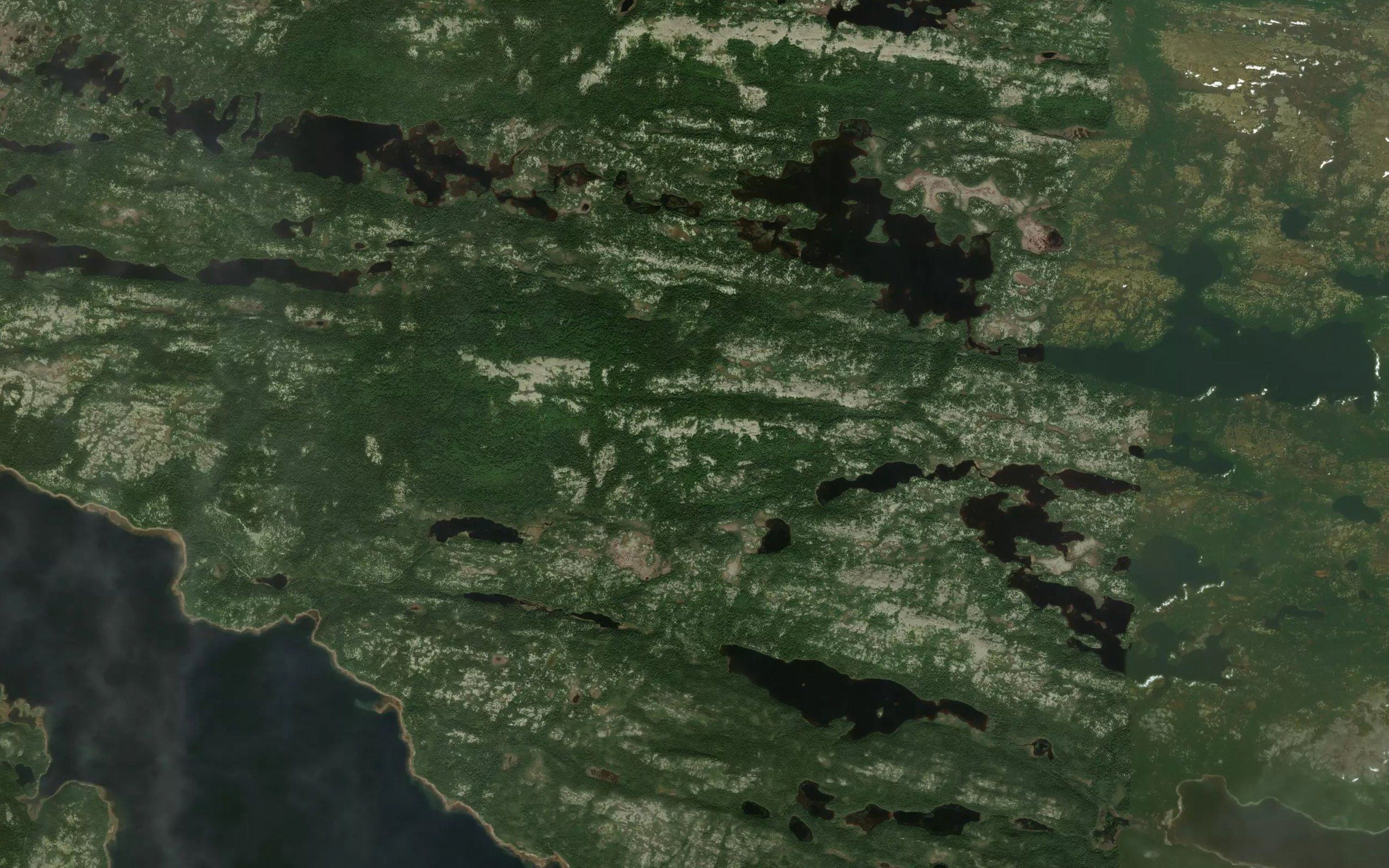 Deer Island Ponds