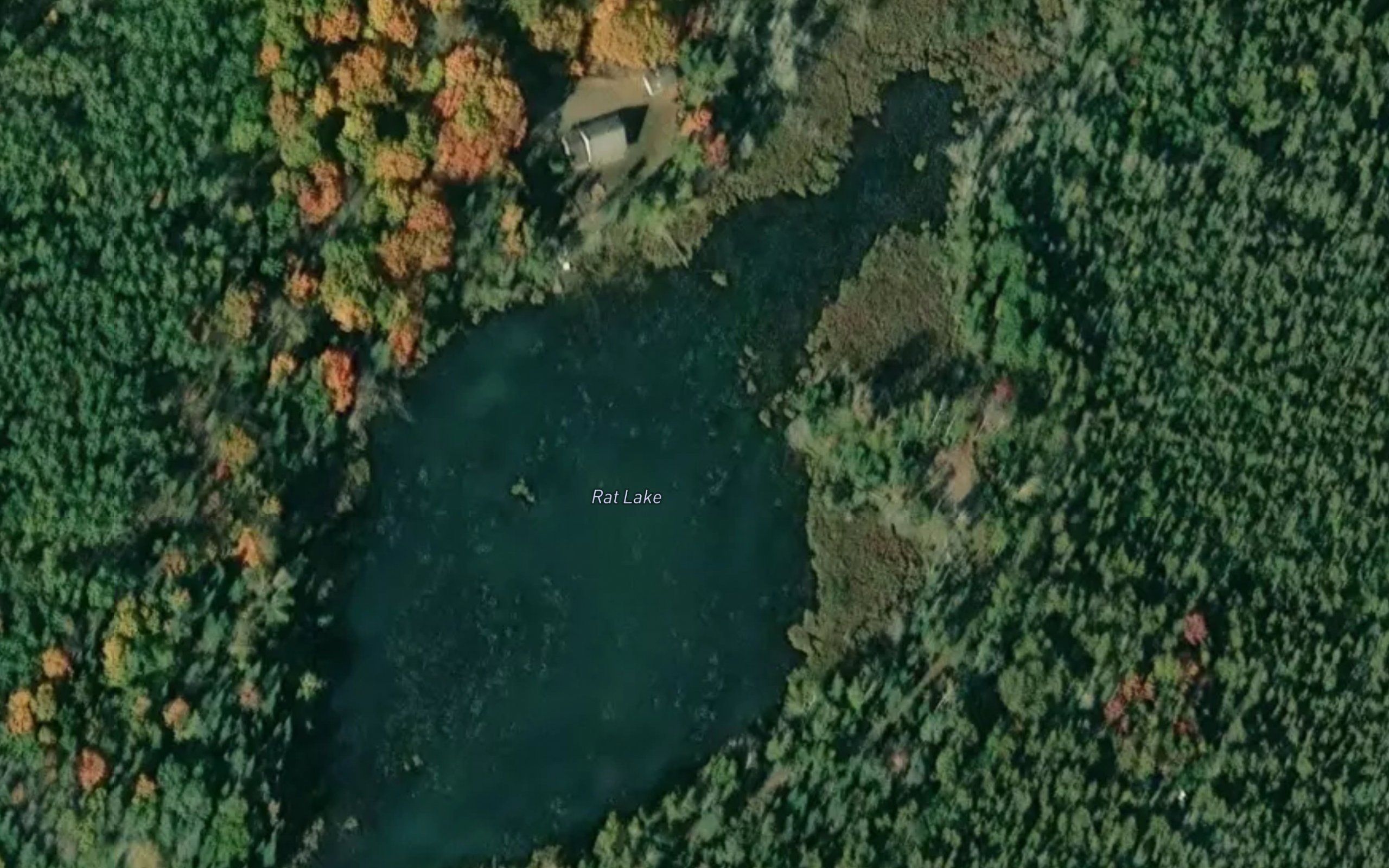 Rat Lake