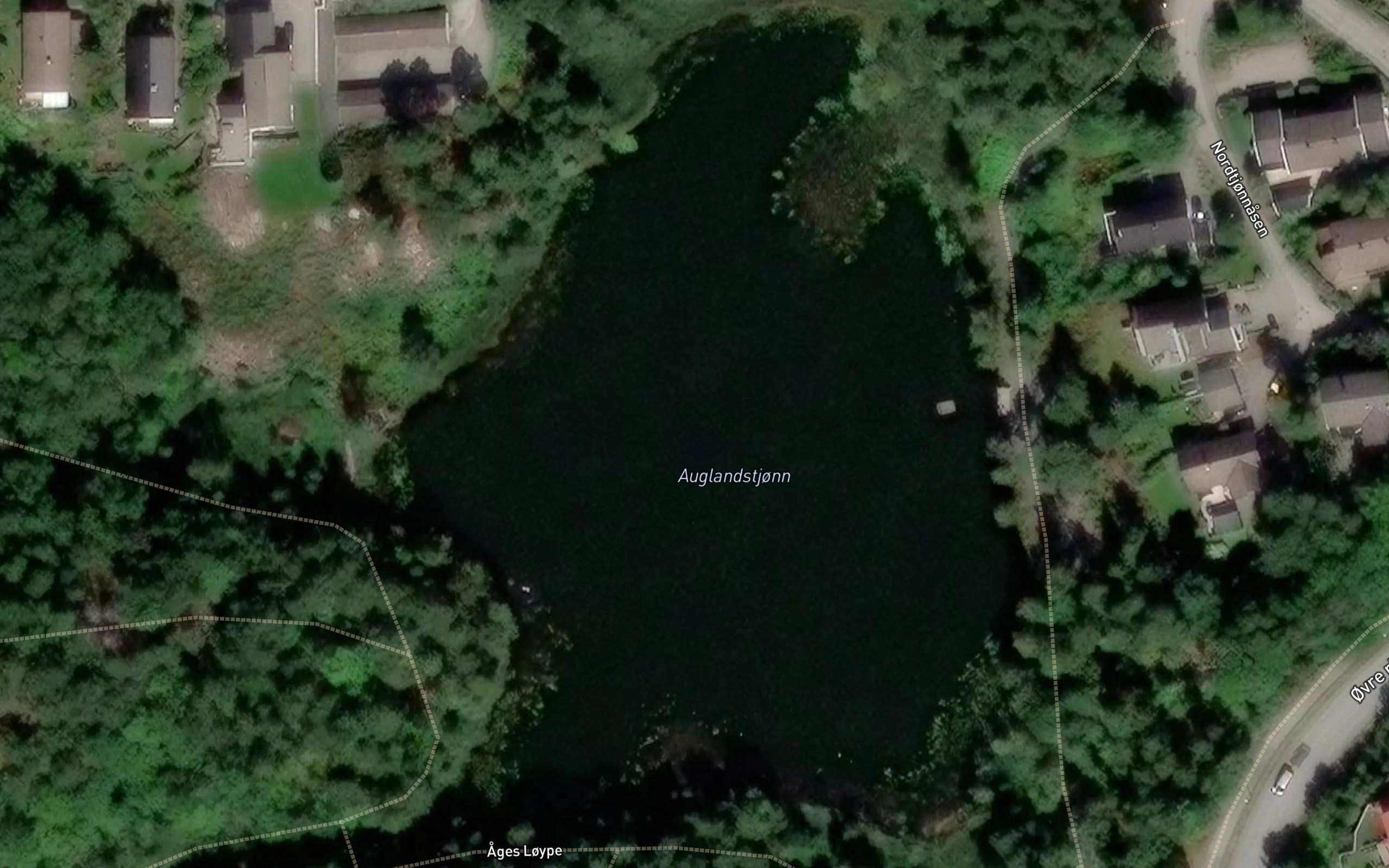 Auglandstjerna