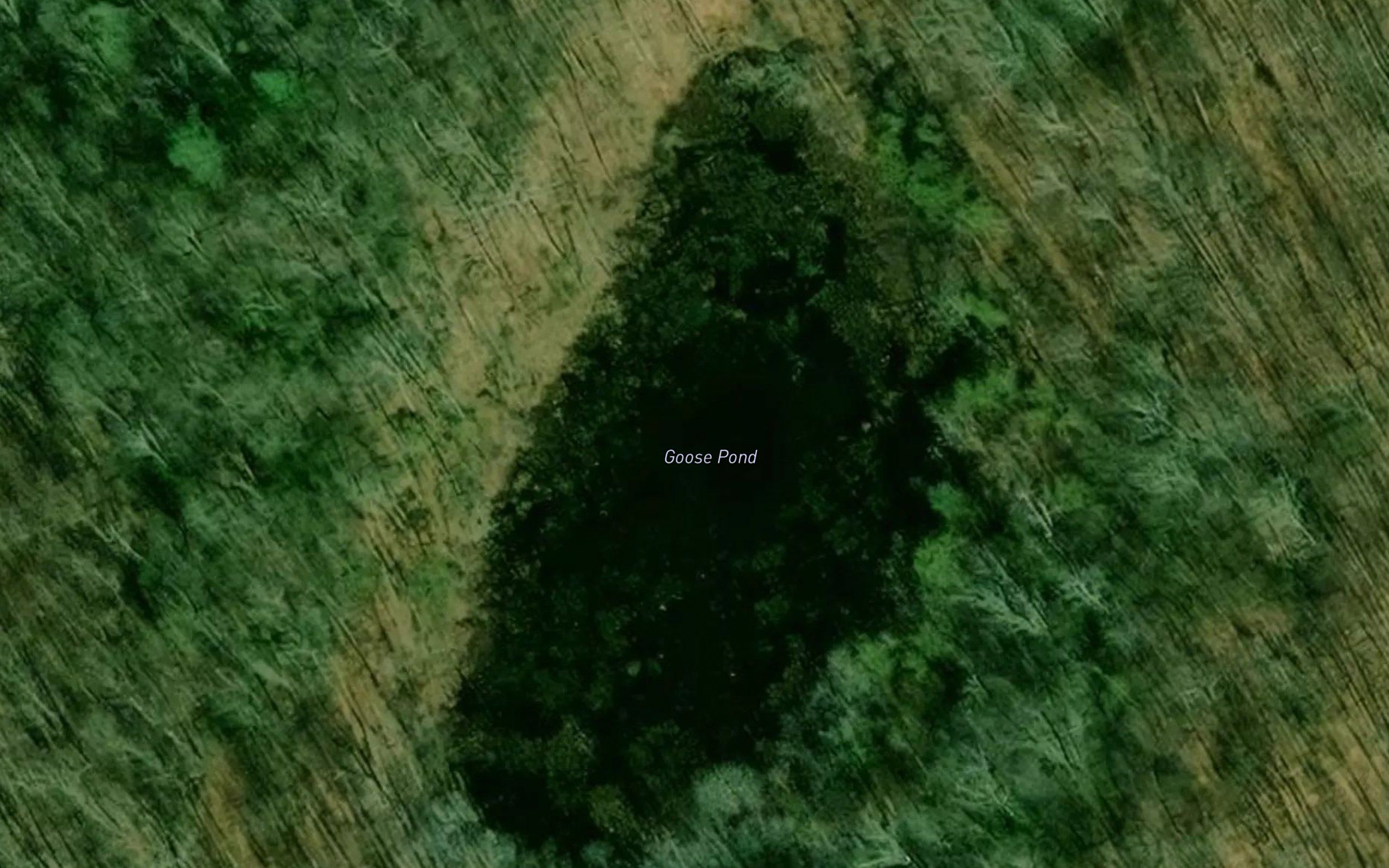 Goose Pond