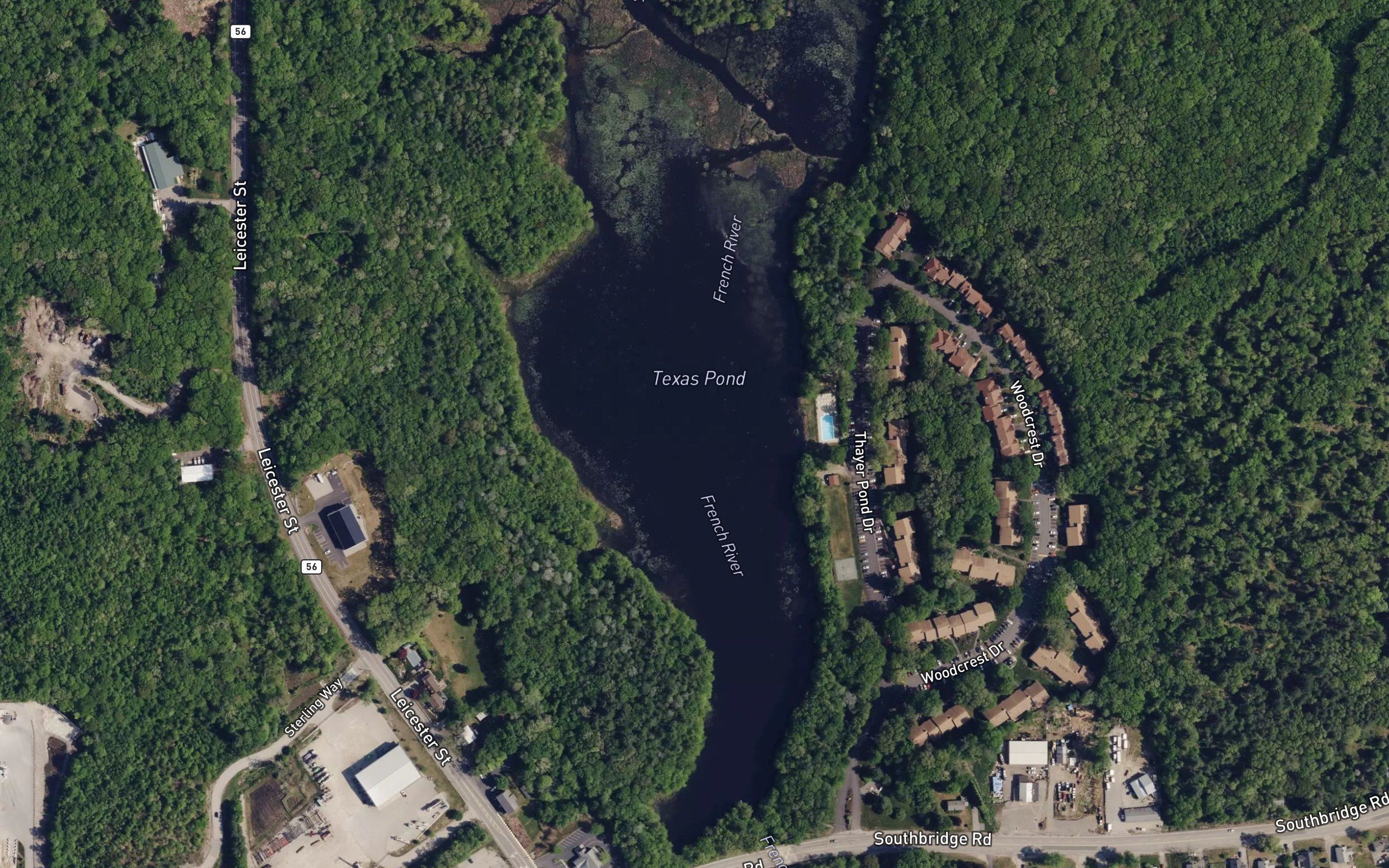 Texas Pond