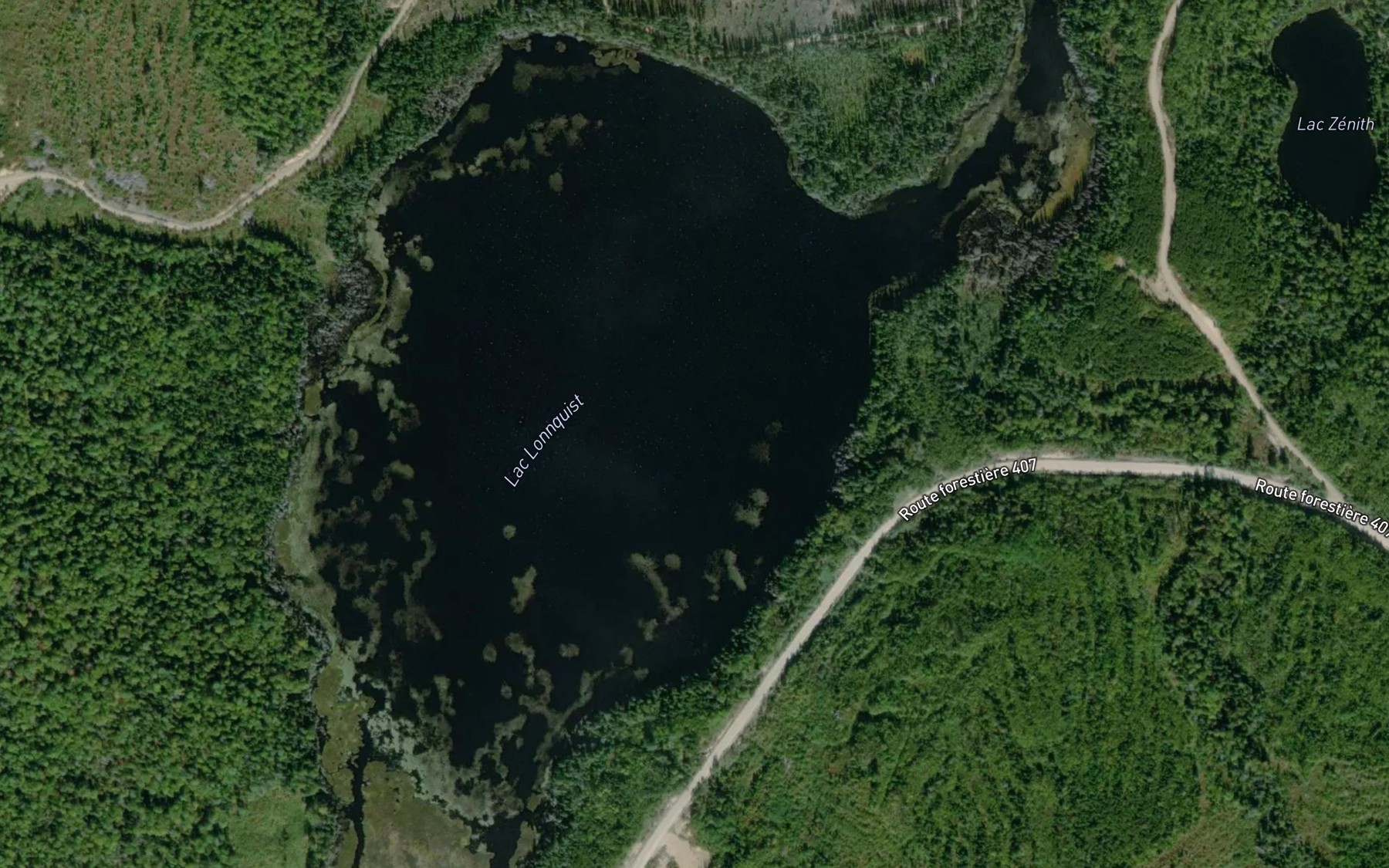 Satellite map of the Lac Lonnquist