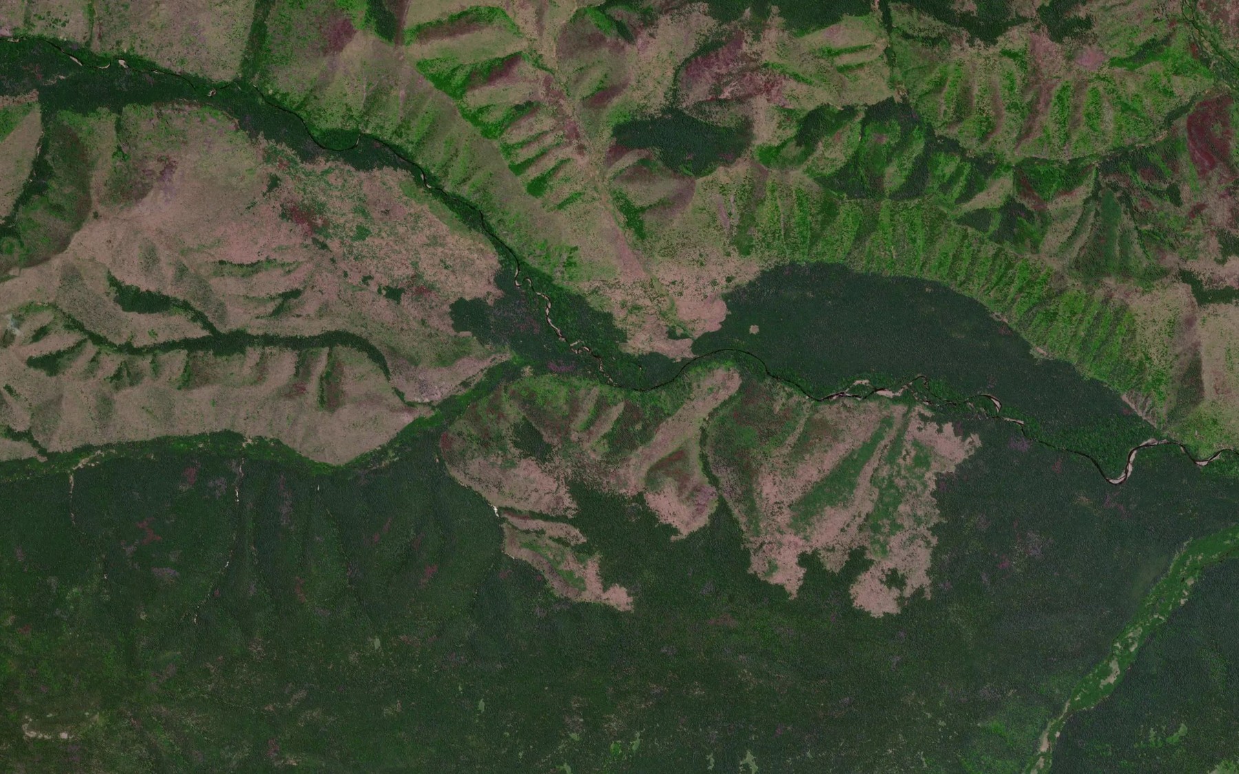 Satellite map of the Prazdnichnyy