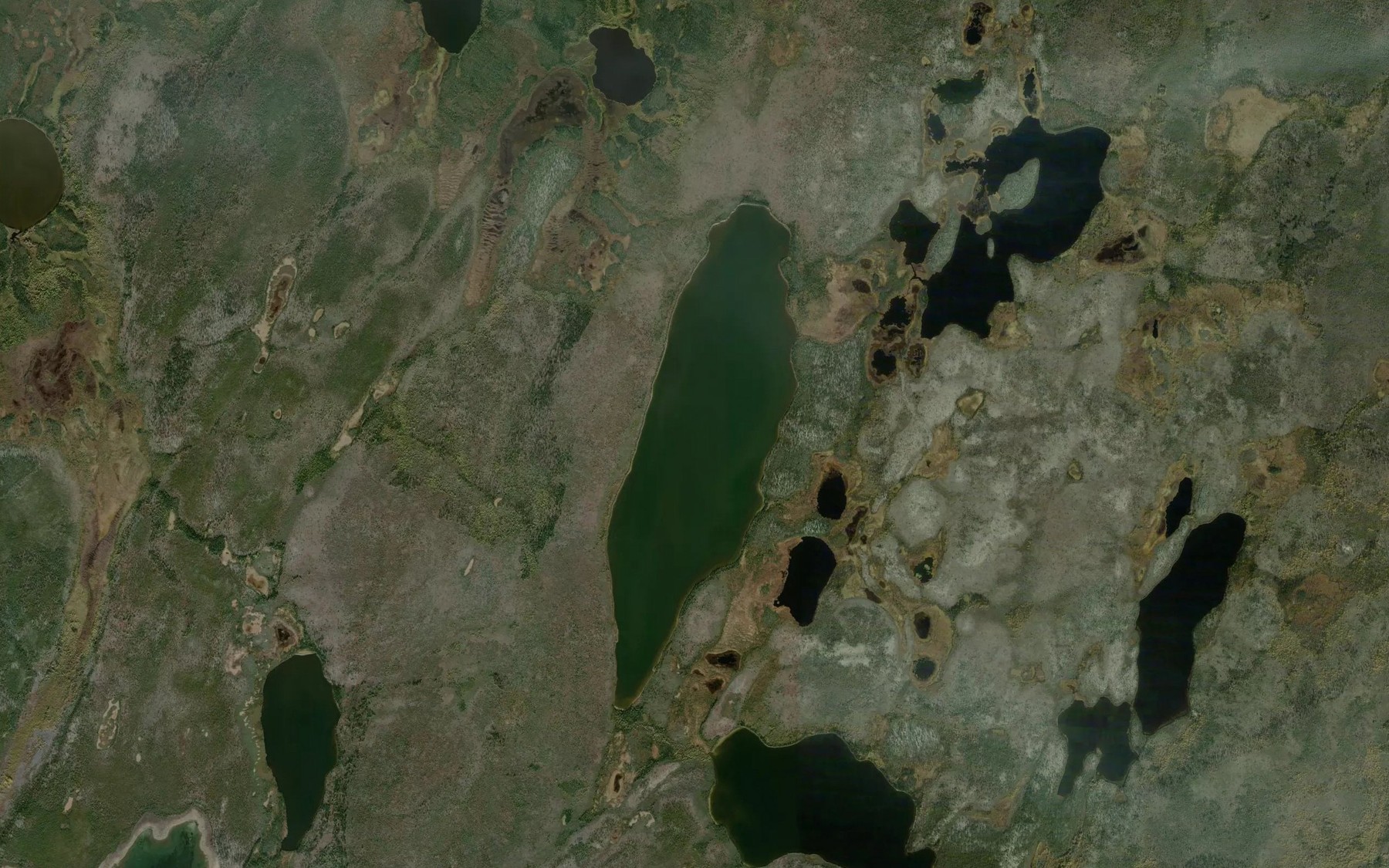 Satellite map of the Nixon Lake